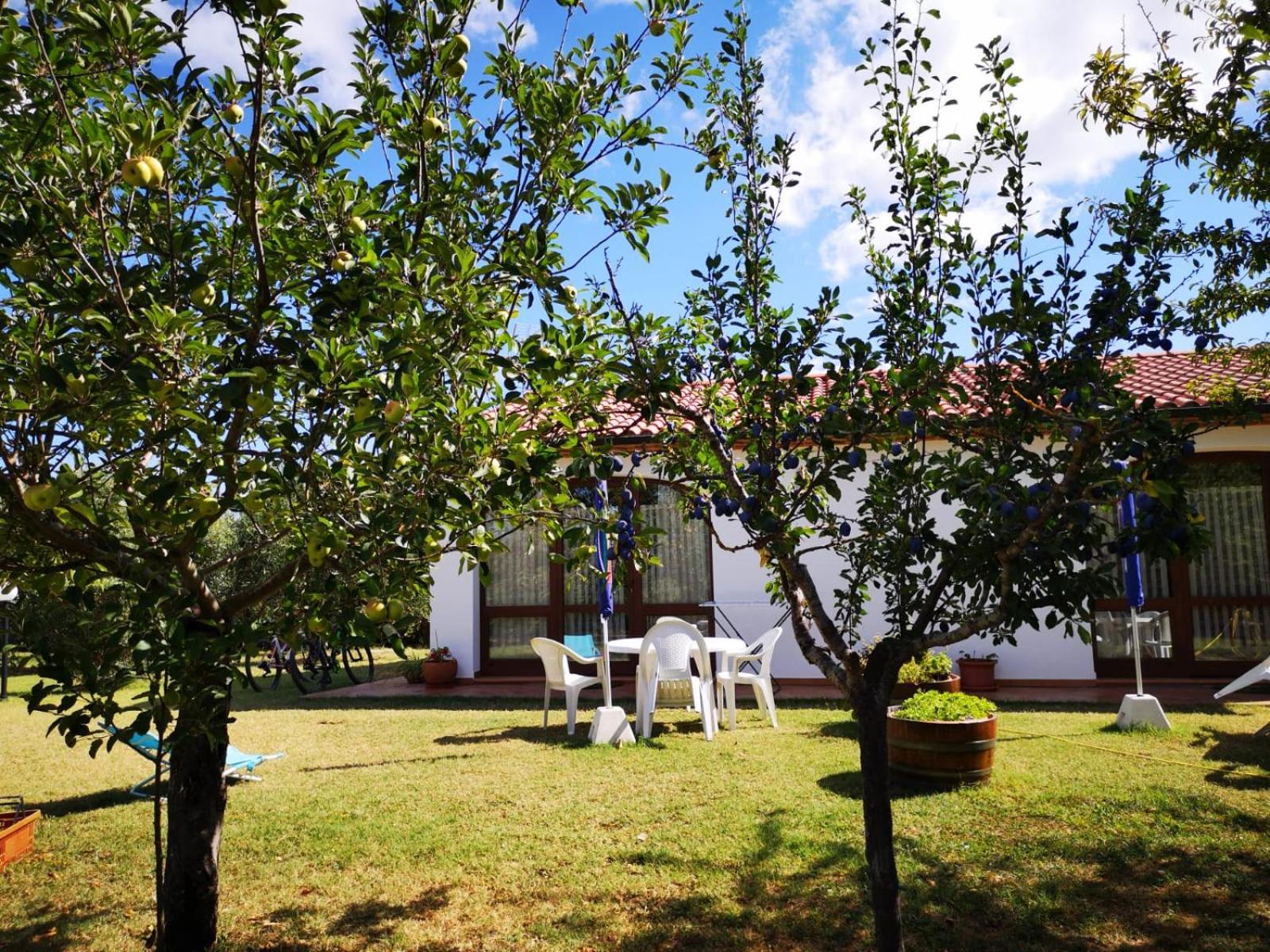 Photo 26