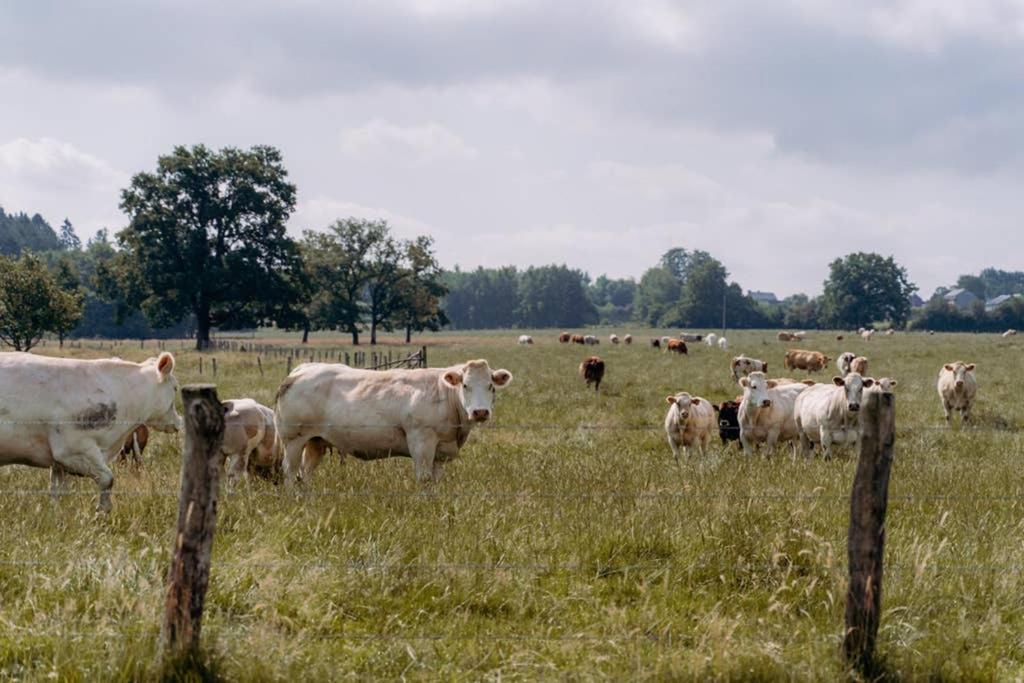 Rustig gelegen gîte nabij Houffalize