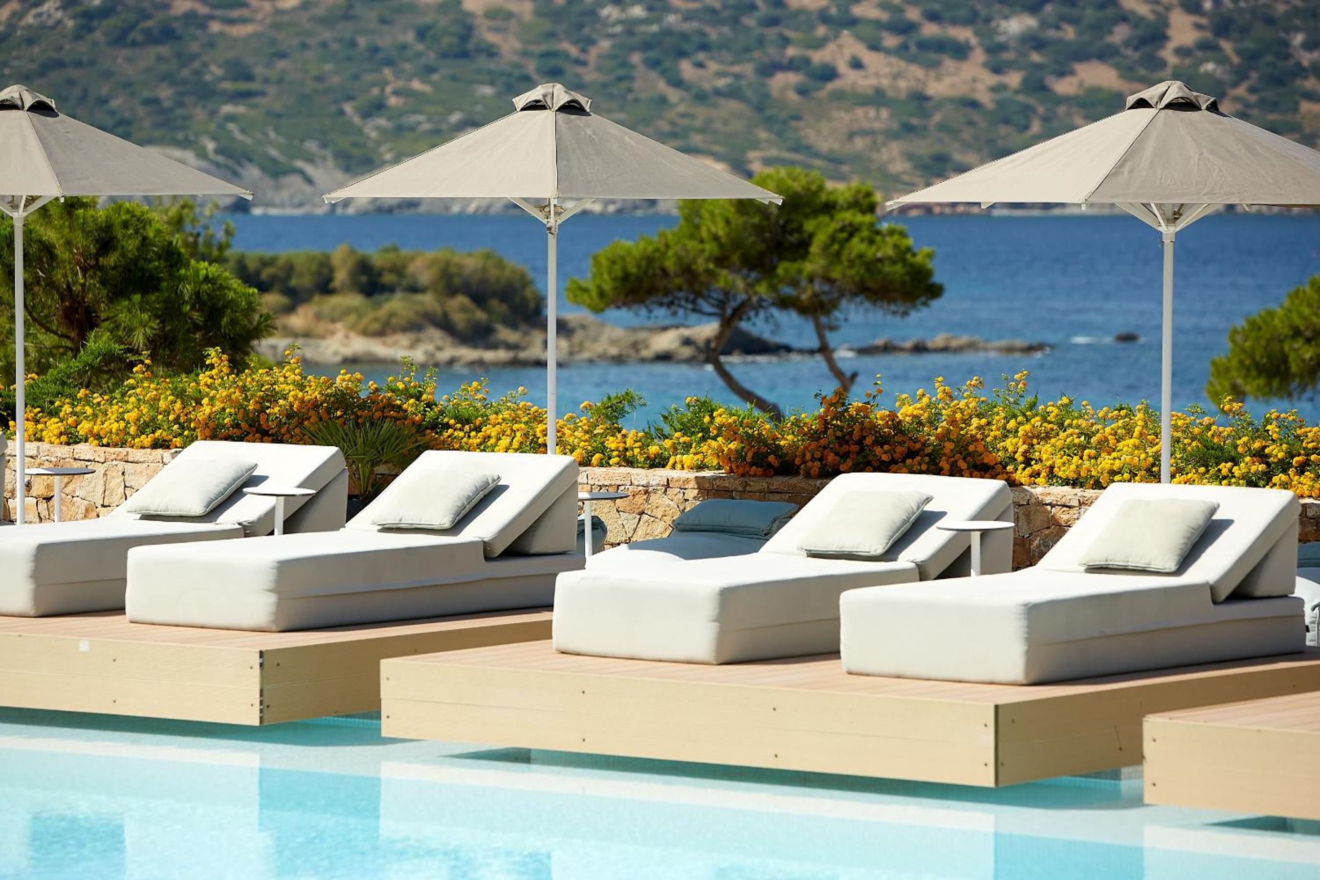 Pool & Wellness