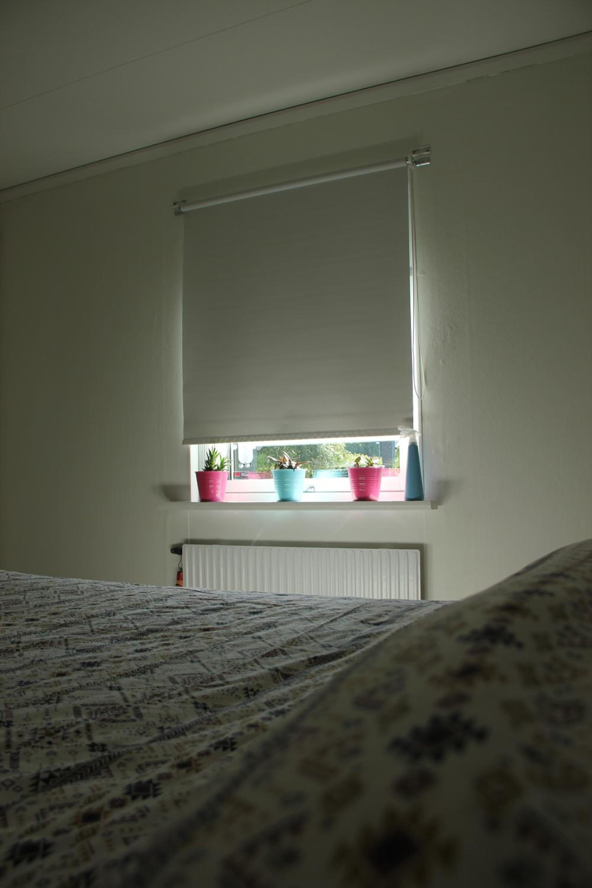 Private room for rent in a villa with garden view view 2