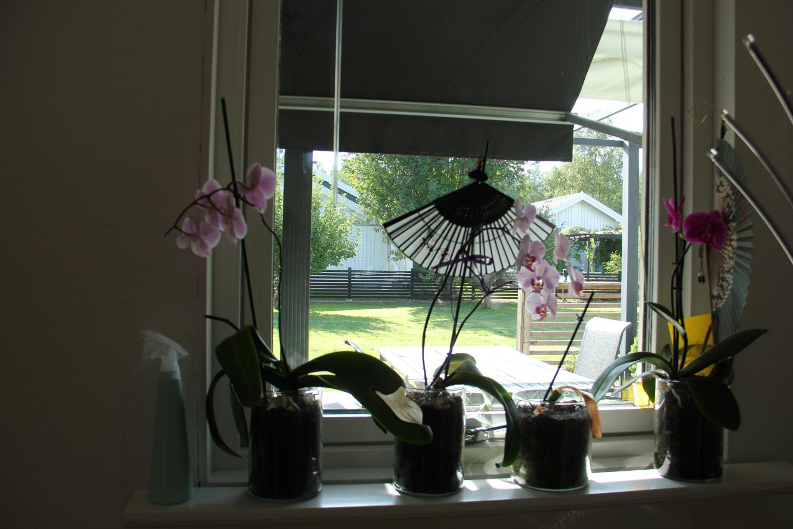 Private room for rent in a villa with garden view view 3