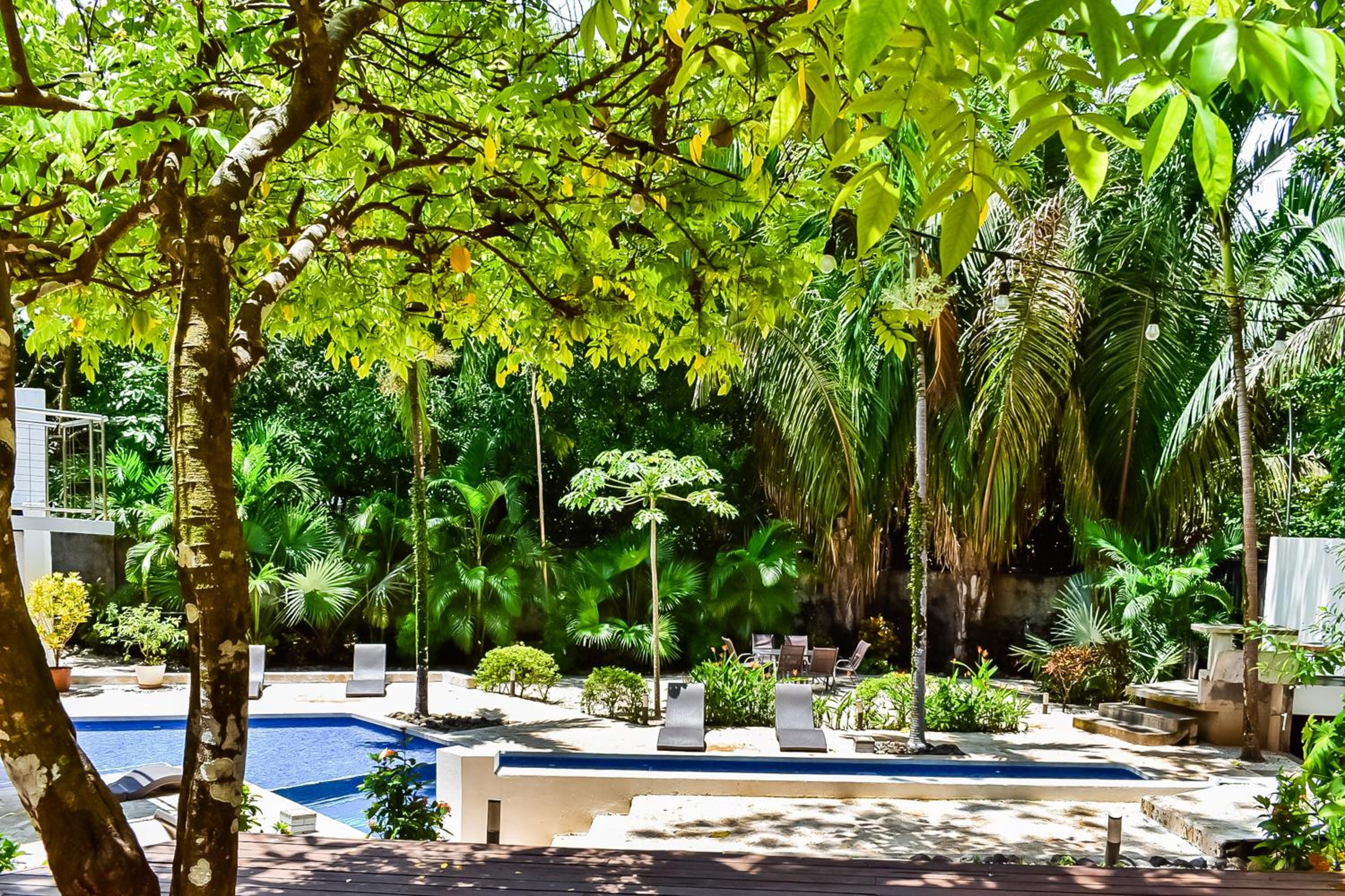 Casa Guarumo Carrillo