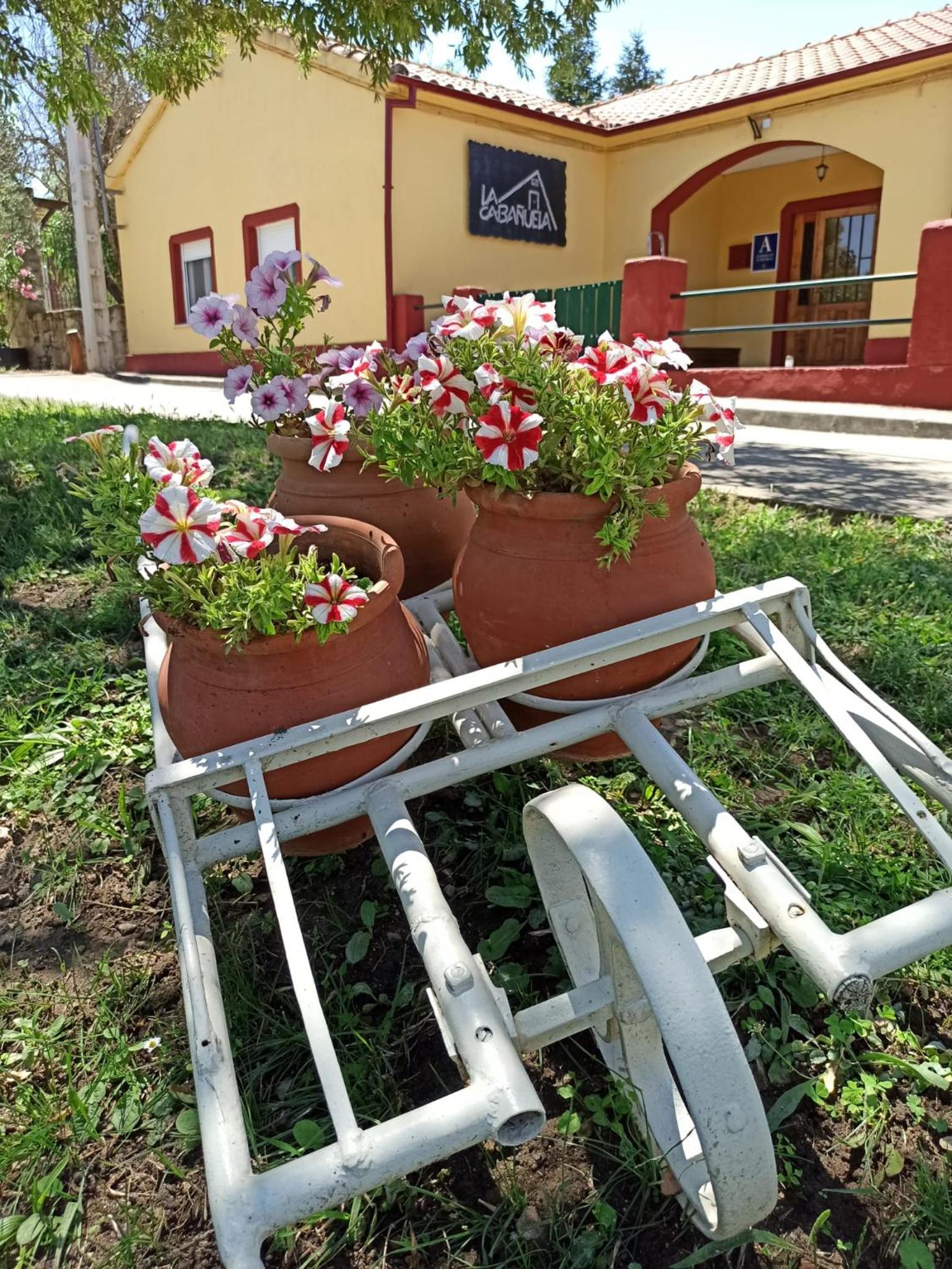 HOSTEL LA CABAÑUELA