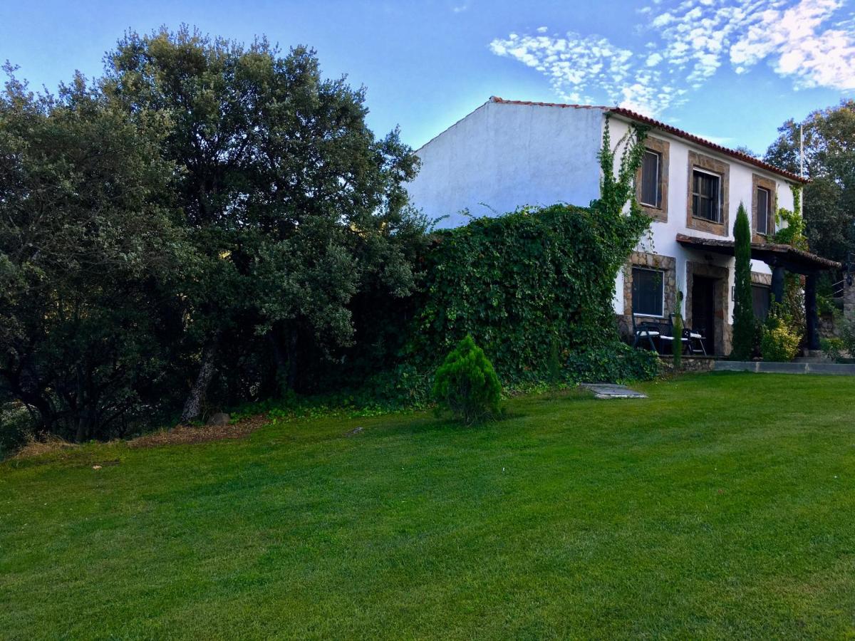 Casa La Viña photo 2