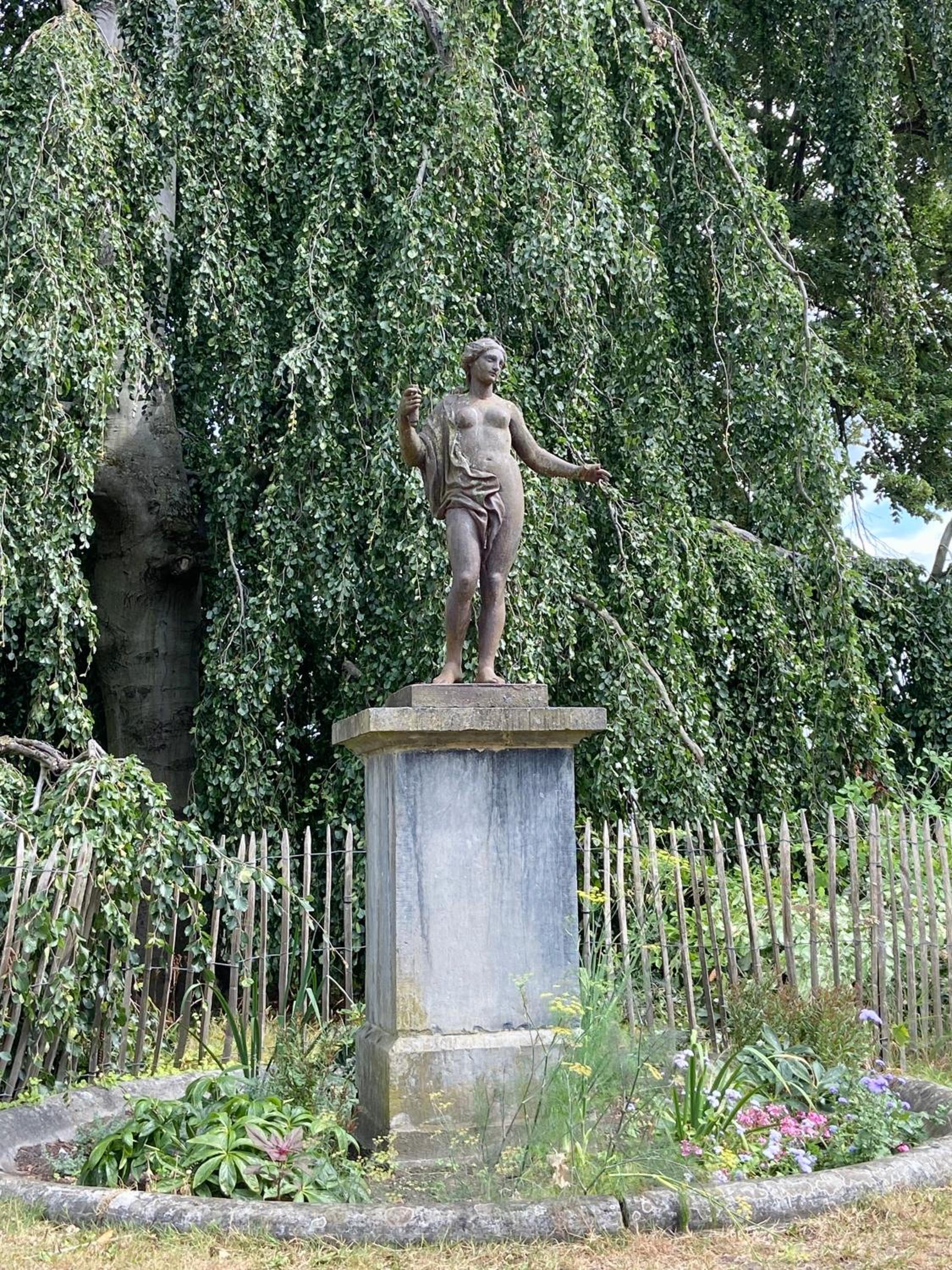 Avenue Rops