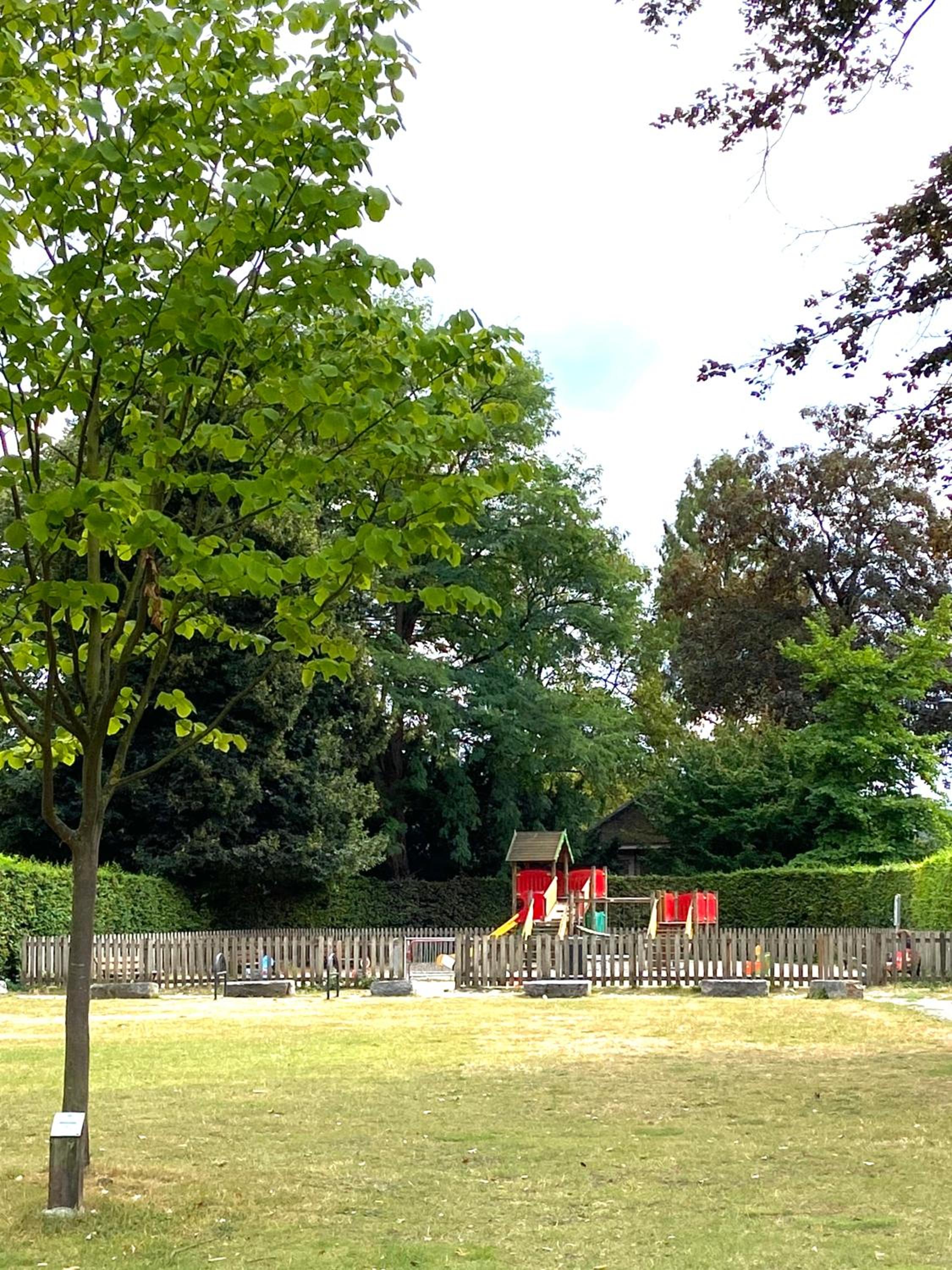 Avenue Rops