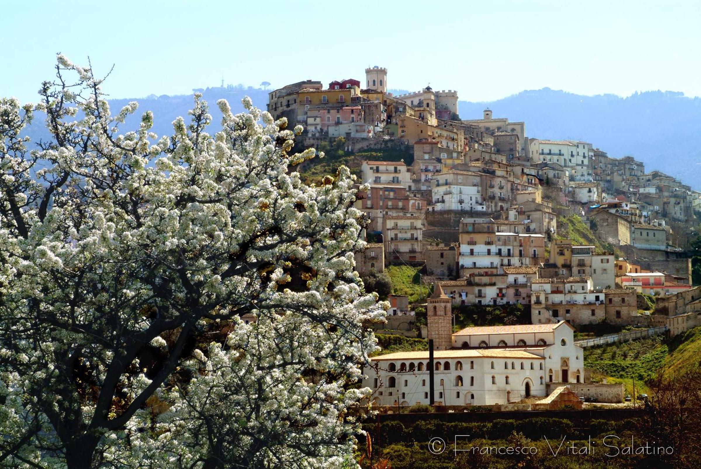 Il Falco e Il Gabbiano