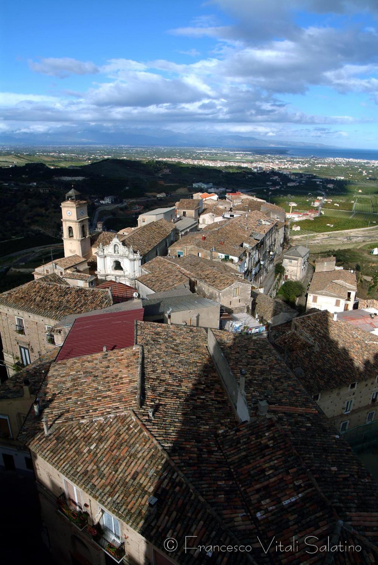 Il Falco e Il Gabbiano