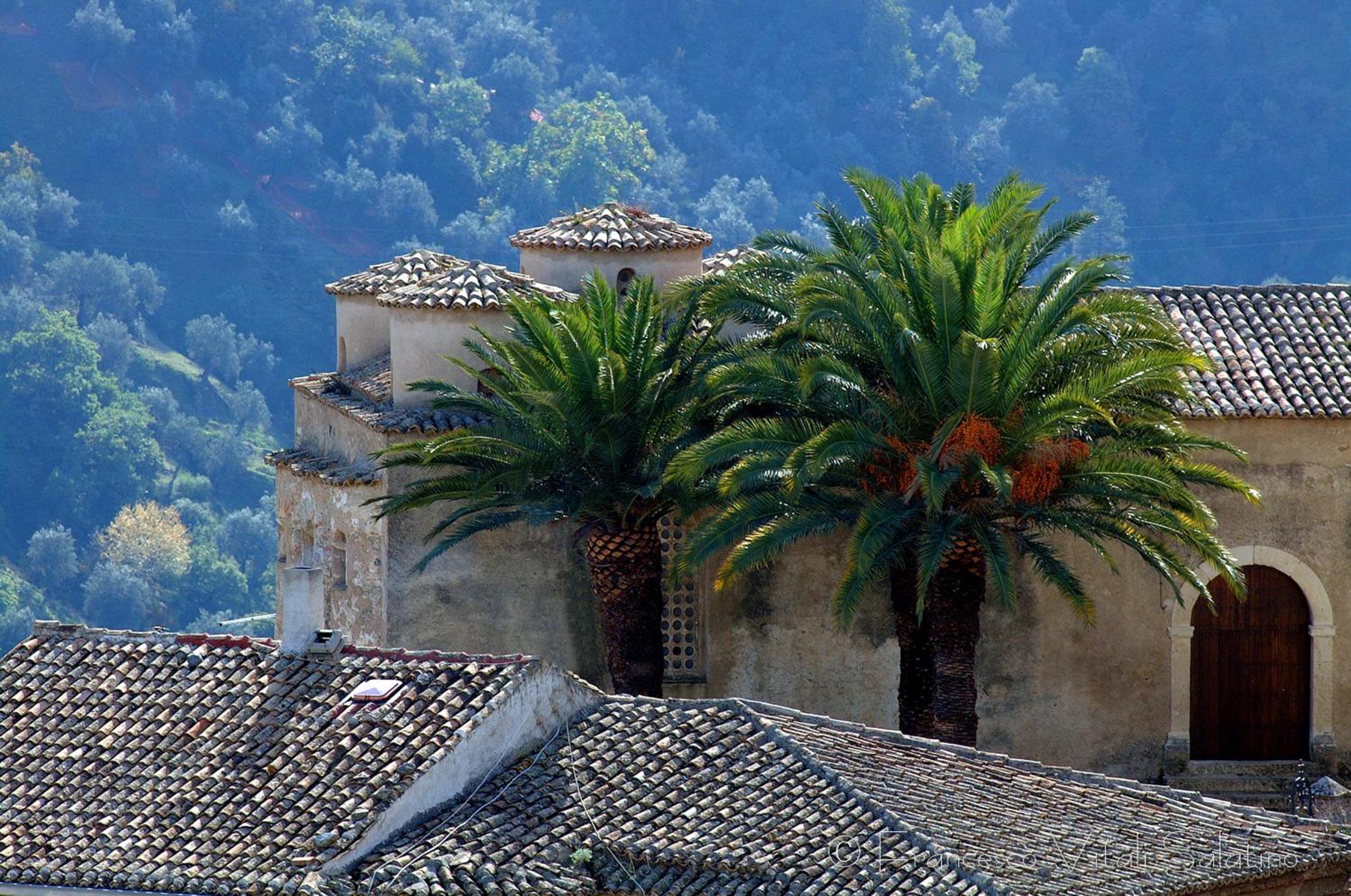 Il Falco e Il Gabbiano