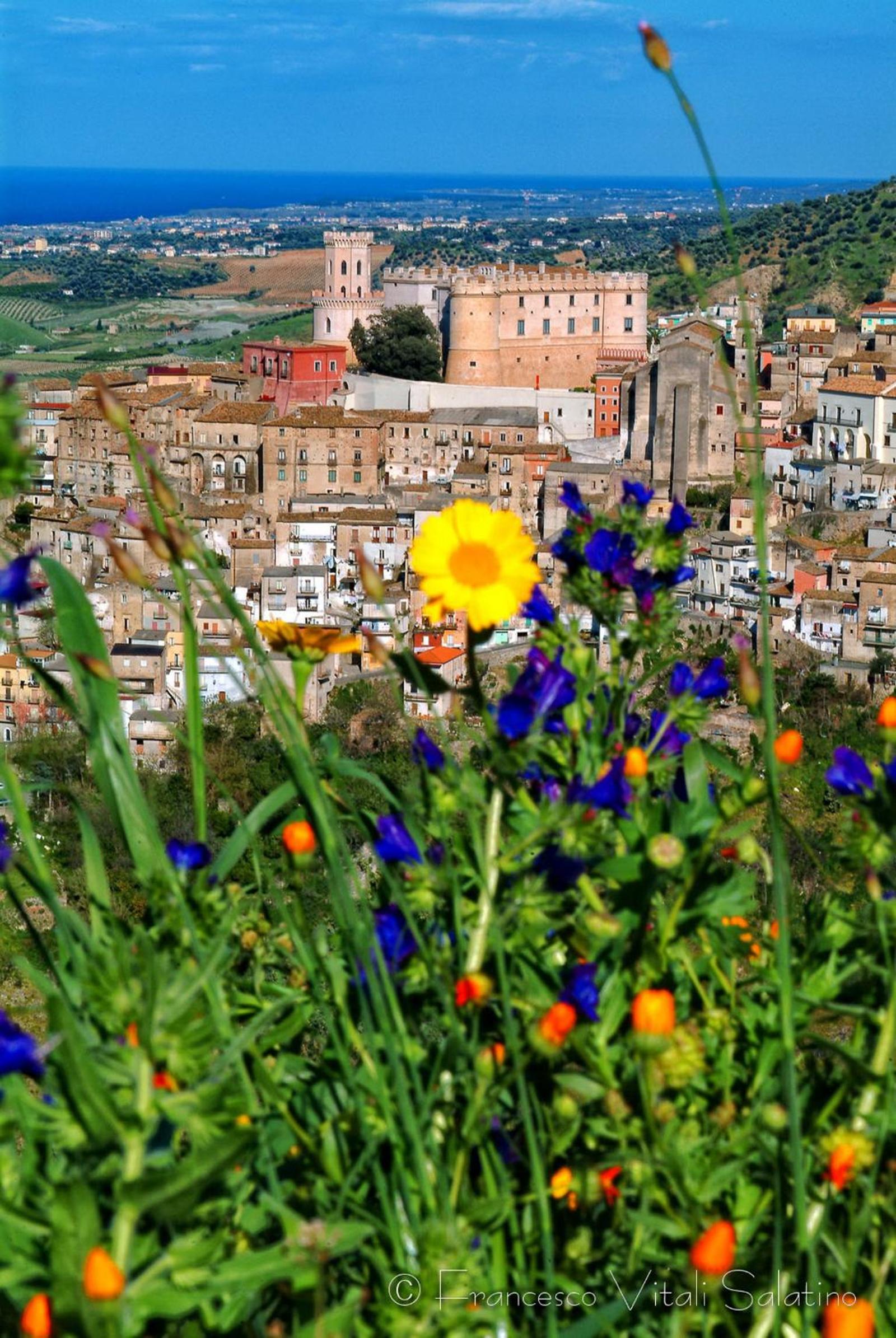 Il Falco e Il Gabbiano