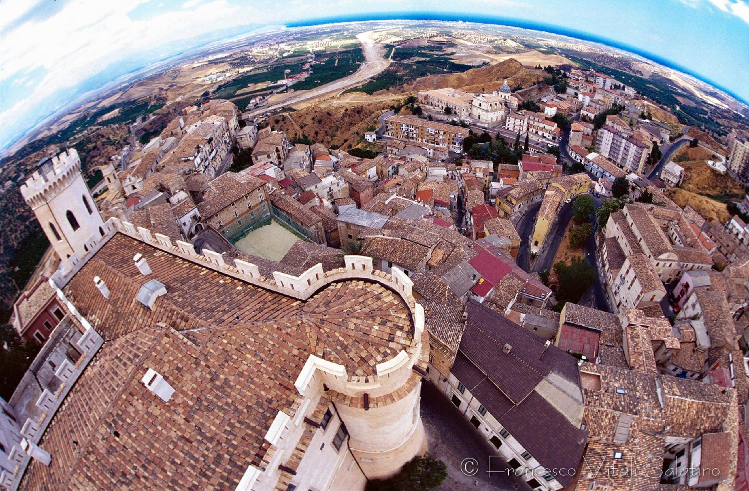 Il Falco e Il Gabbiano