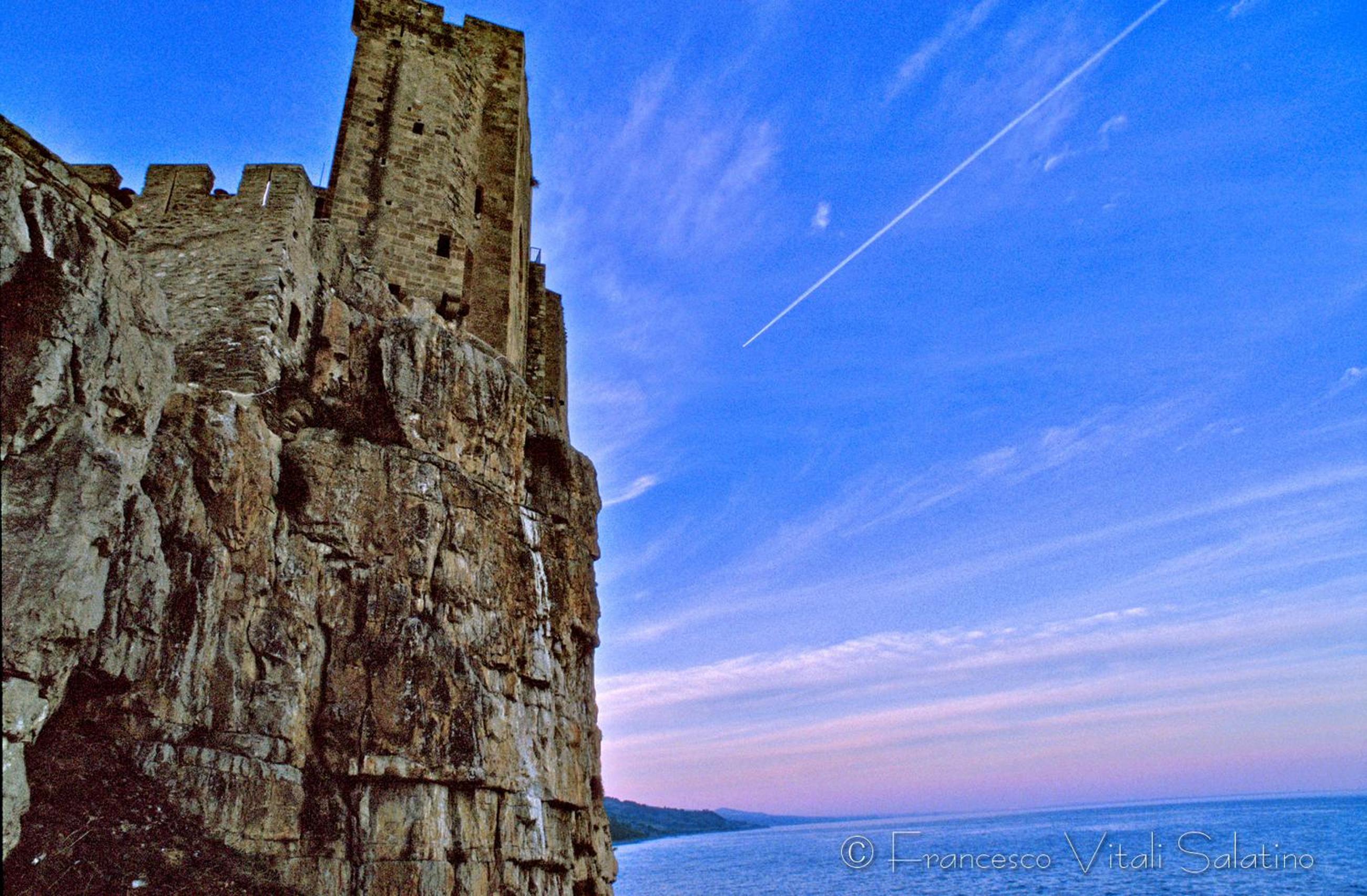 Il Falco e Il Gabbiano