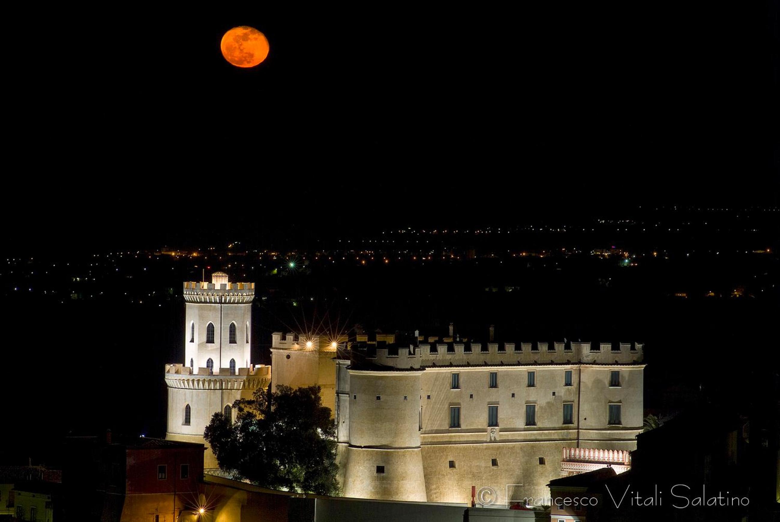 Il Falco e Il Gabbiano