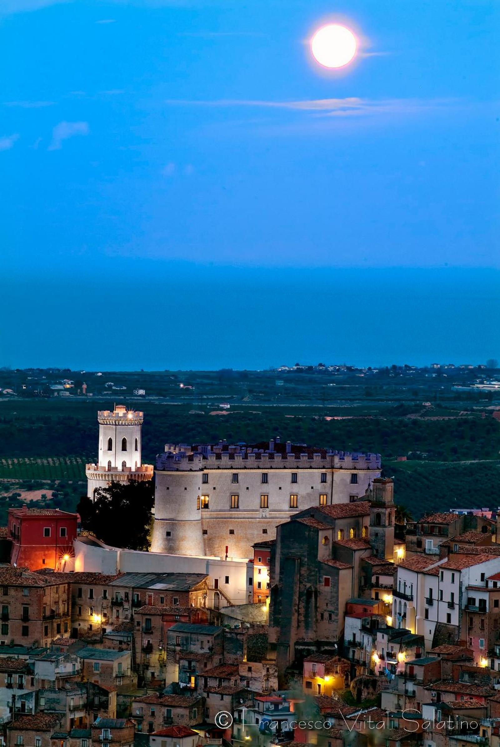 Il Falco e Il Gabbiano