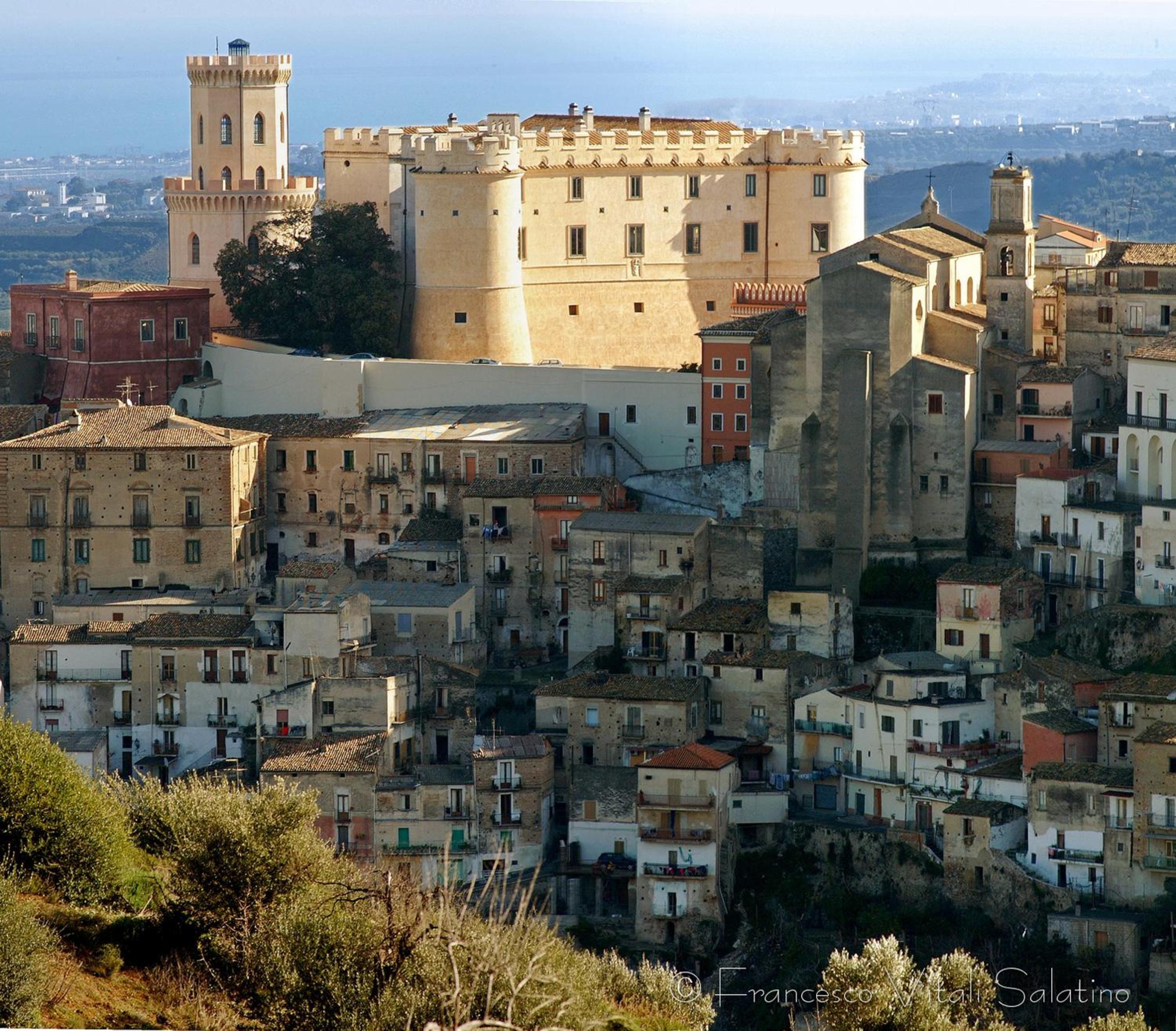 Il Falco e Il Gabbiano