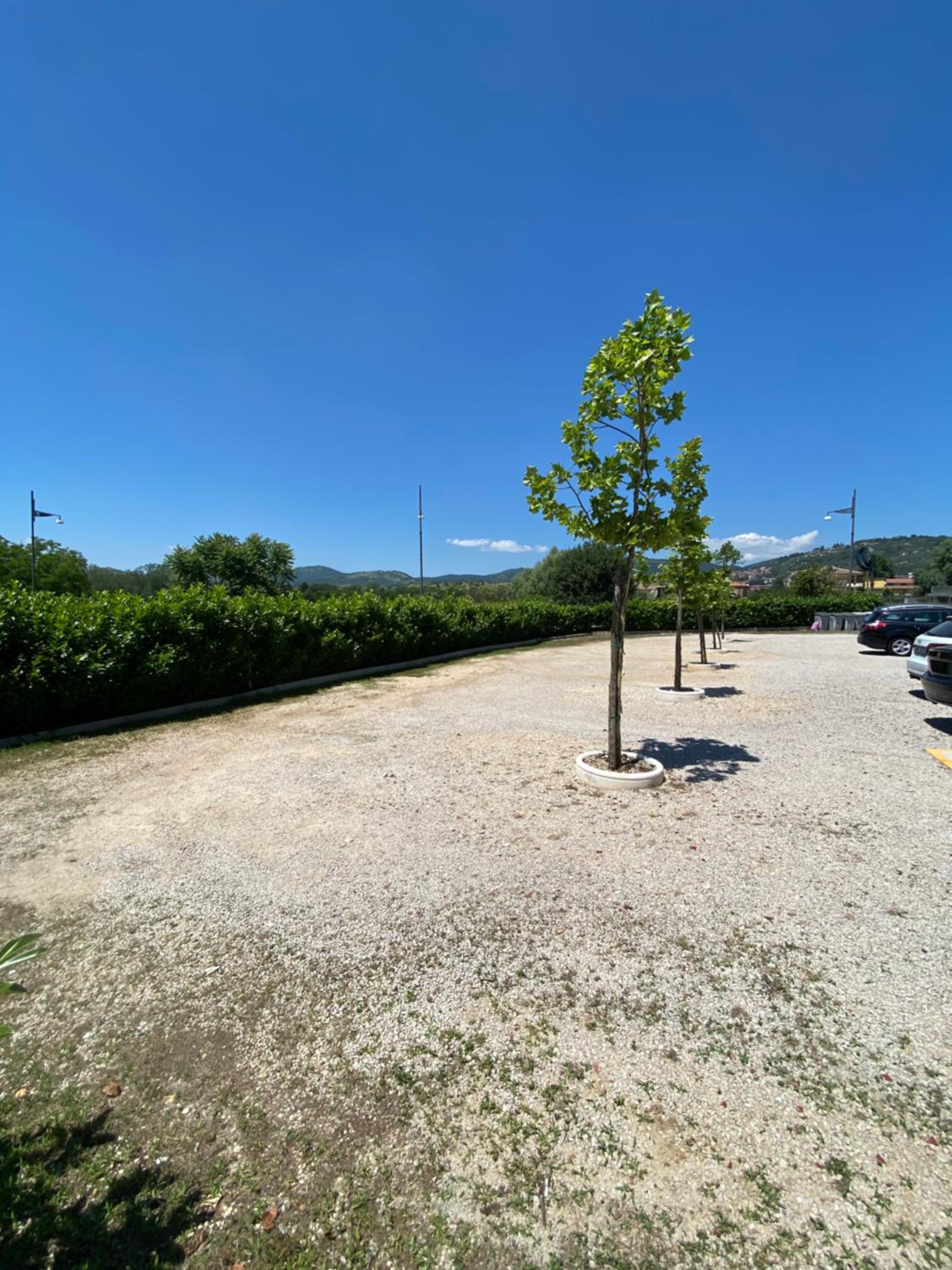 parking