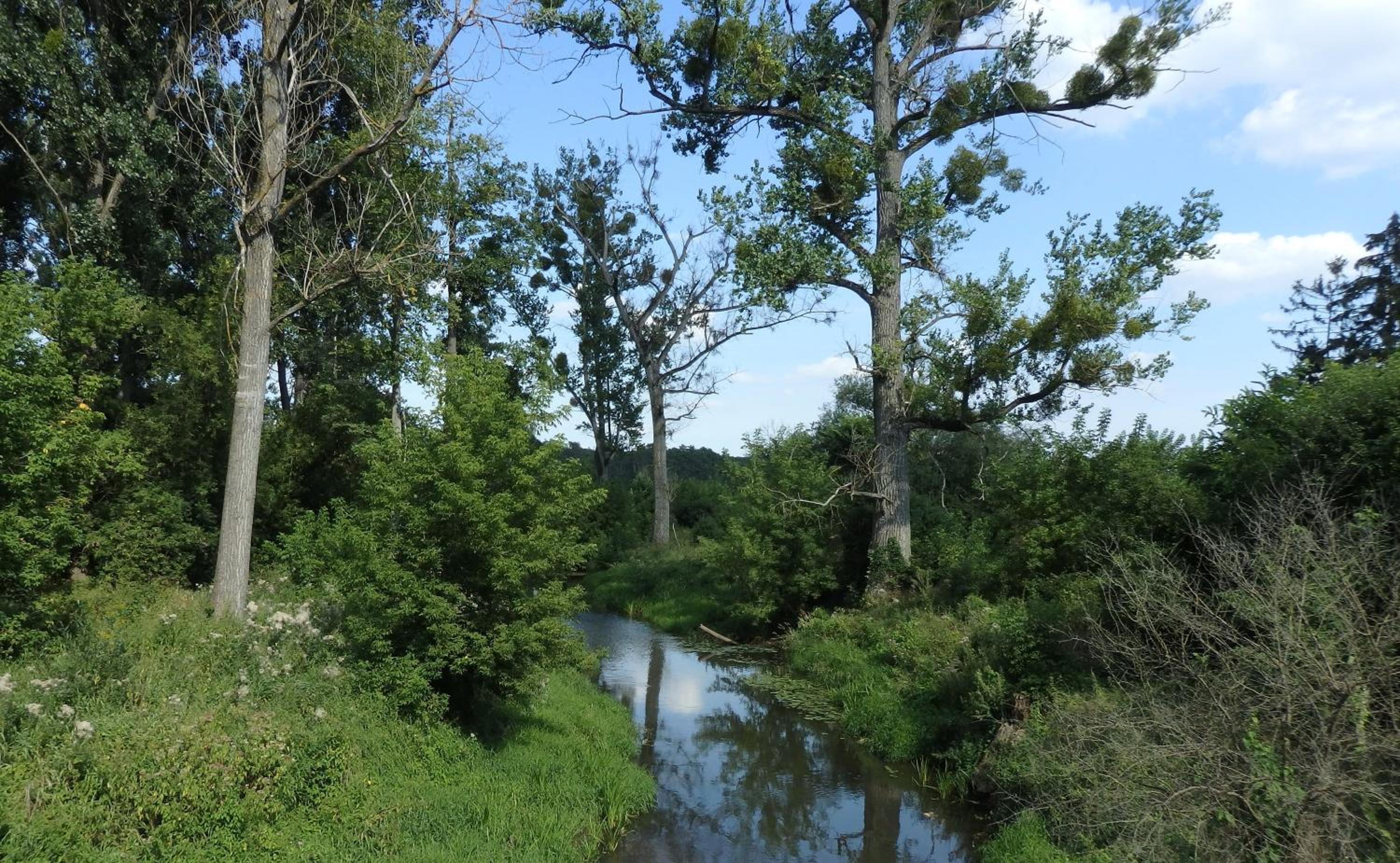 Photo 27