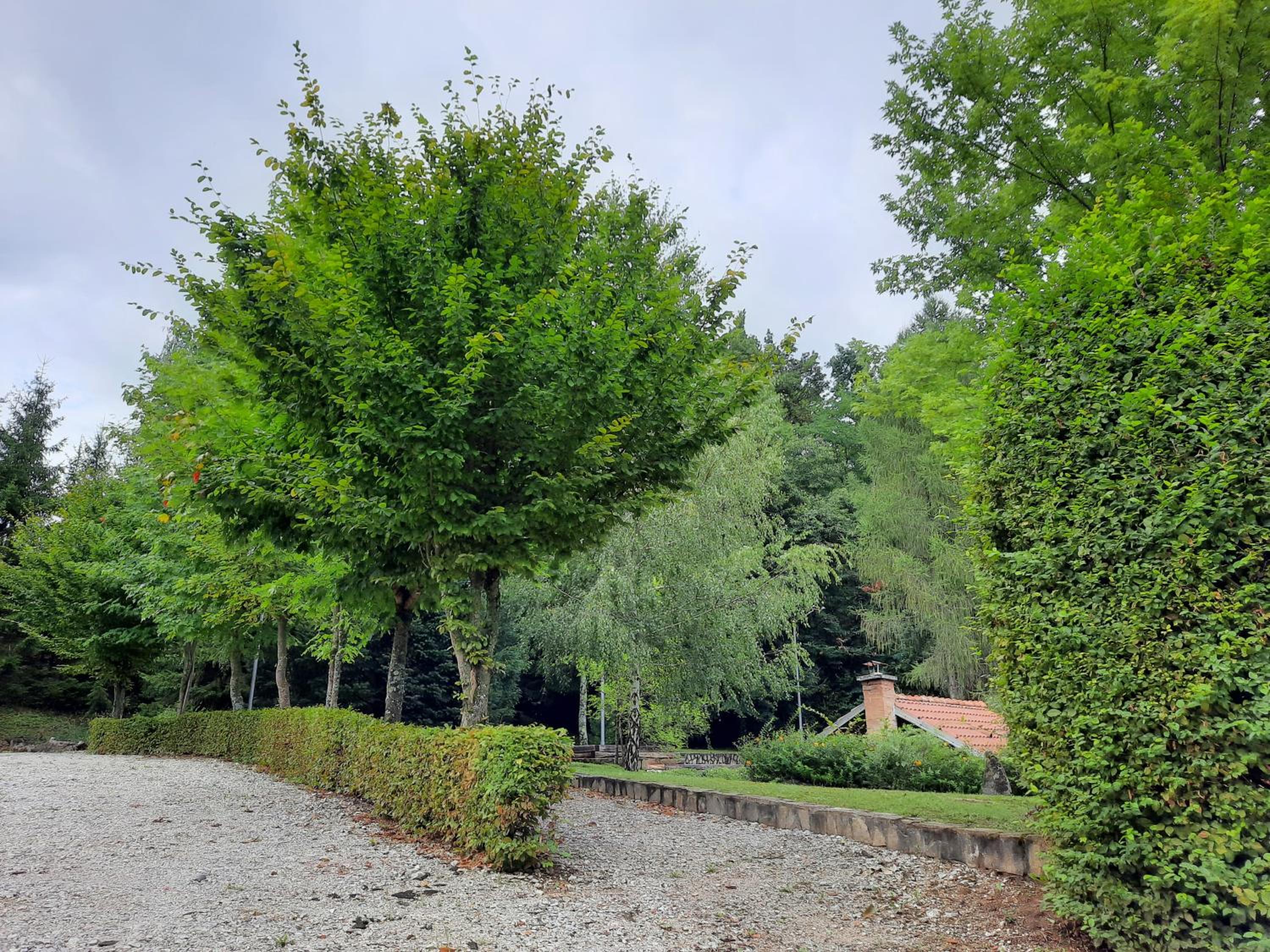Počitniška hiša Parkfield Dragovan view 5
