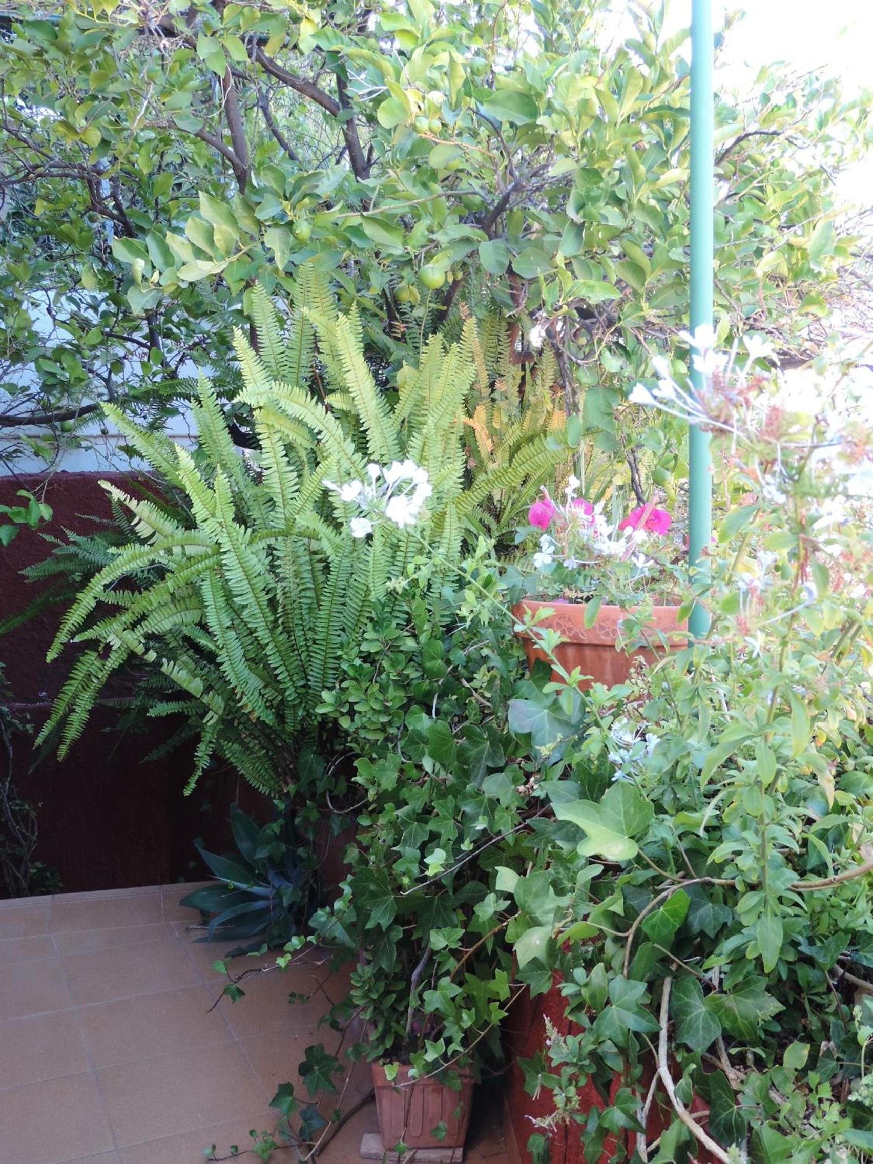 Photo 29