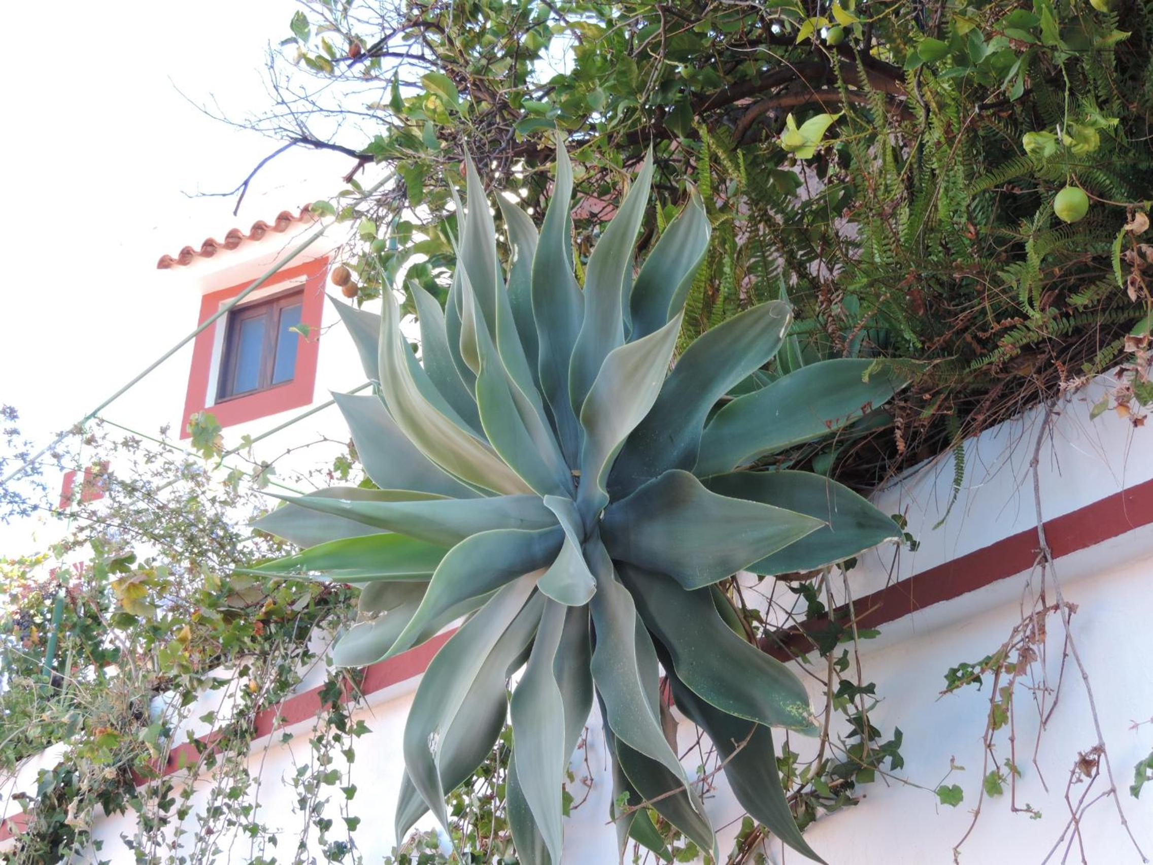 Photo 47