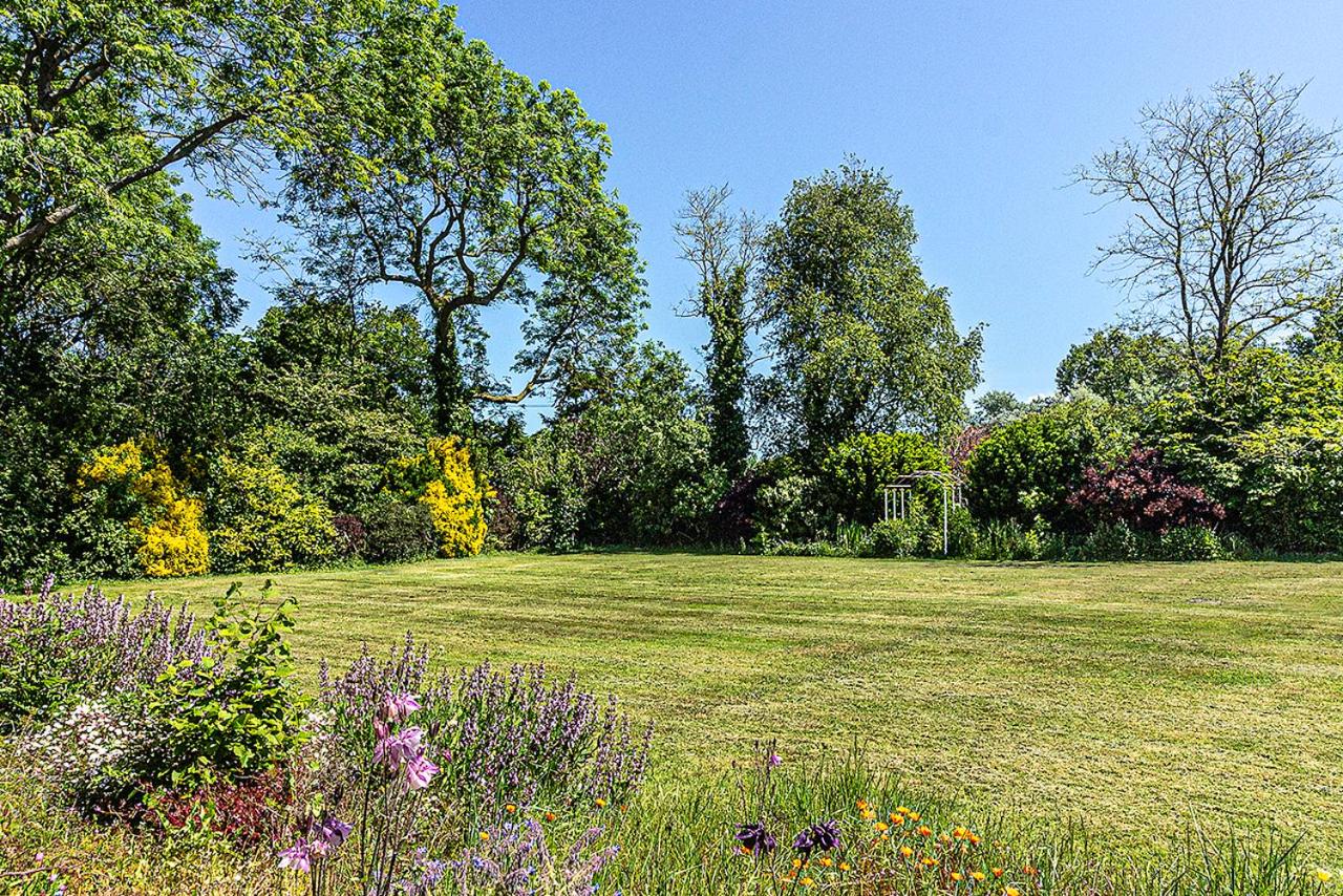 Cosy Wolf Bed & Breakfast view 5