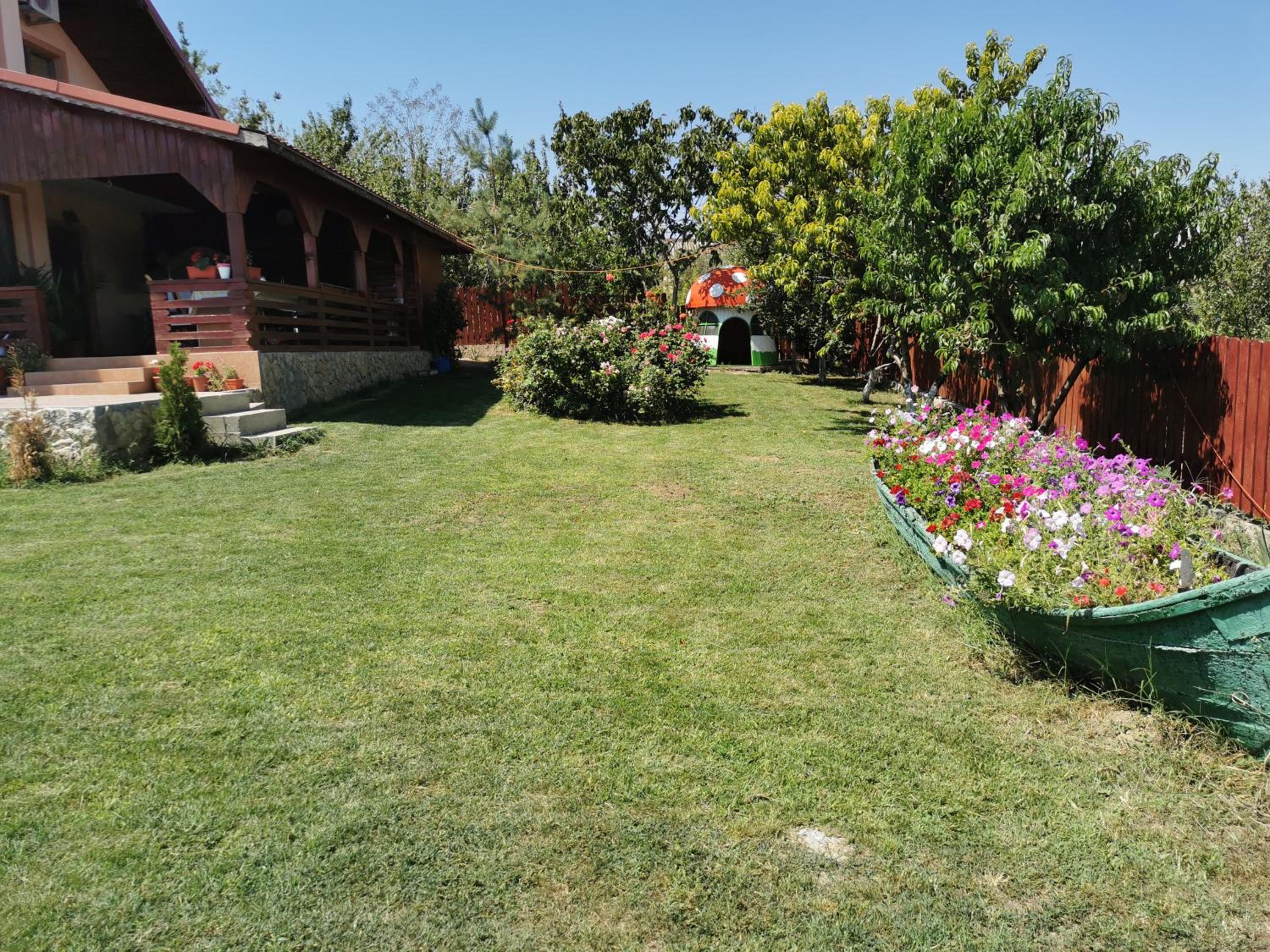 Photo 23