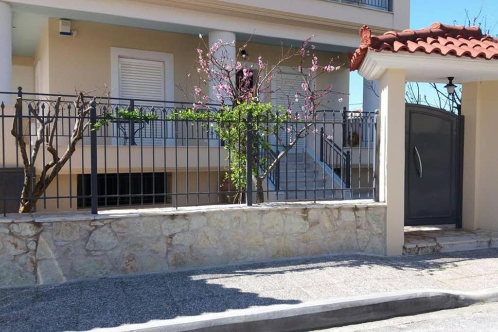 Hotel New, bright, cozy, autonomous apartment with private entrance and garden, 42 m2, 5min to the beach and city center - Image 1