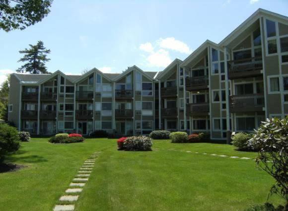 Misty Harbor Resort