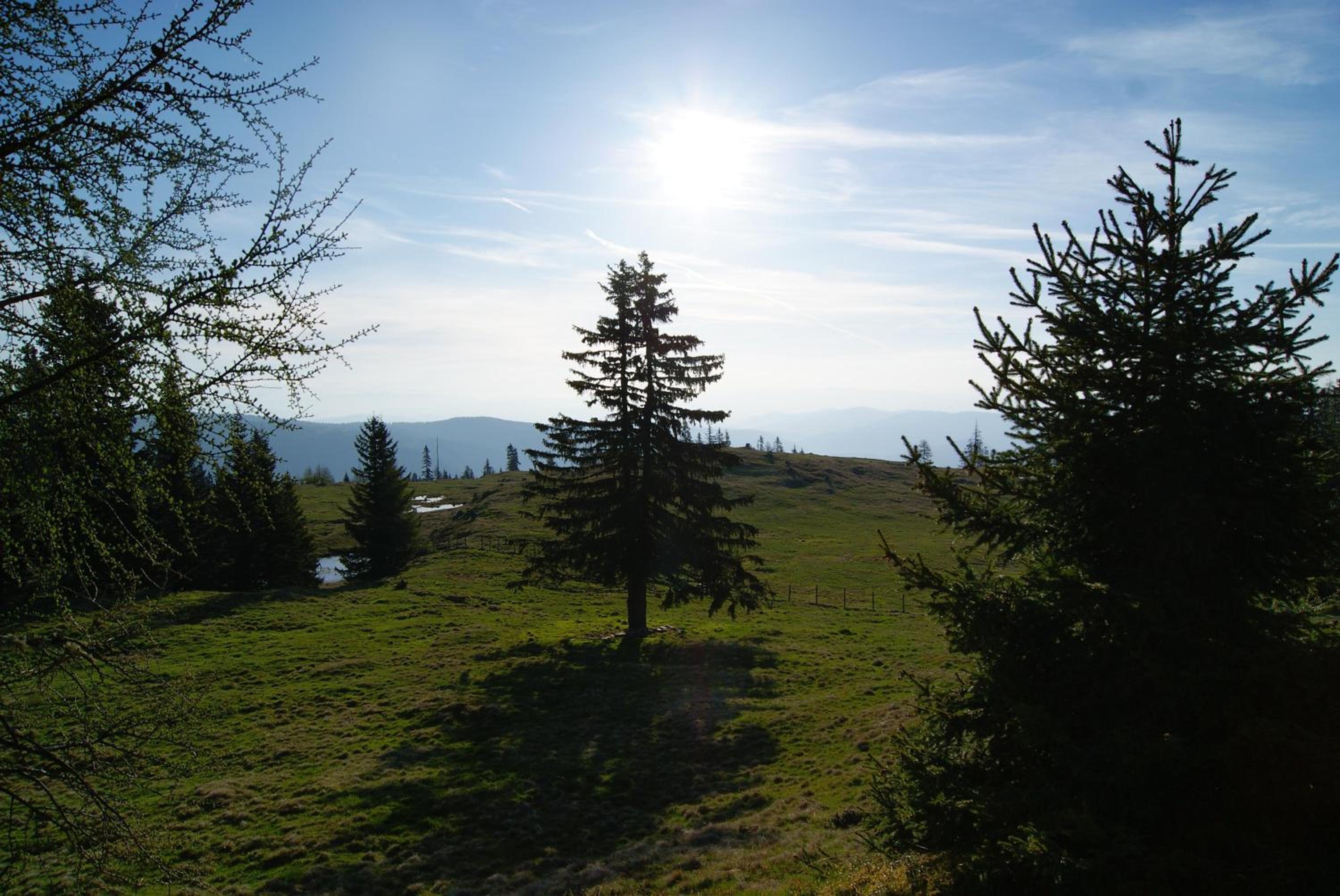 Grundnerhof