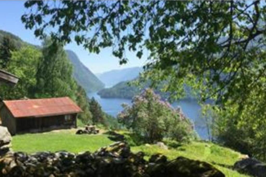 Photo 22