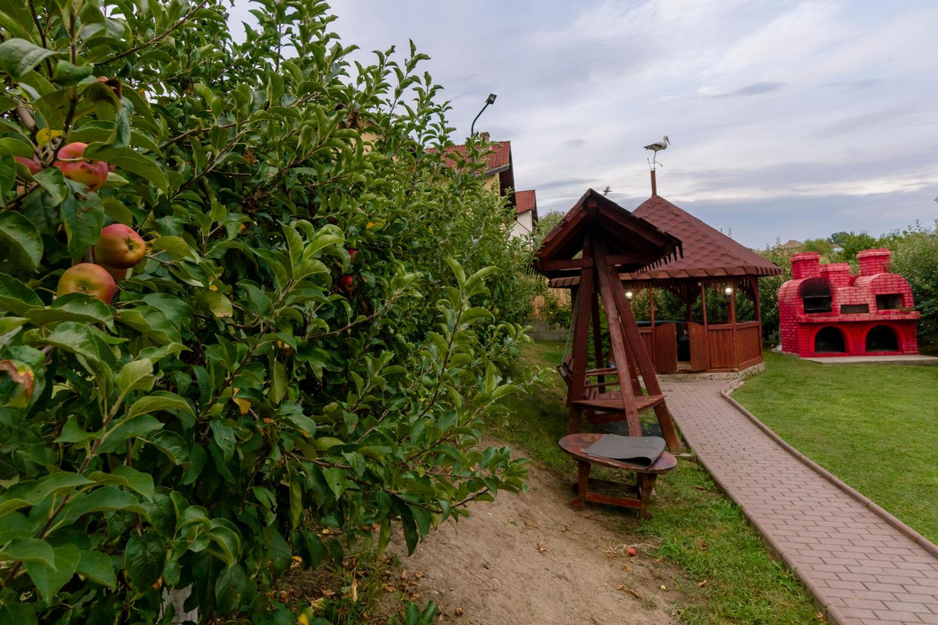 Photo 28