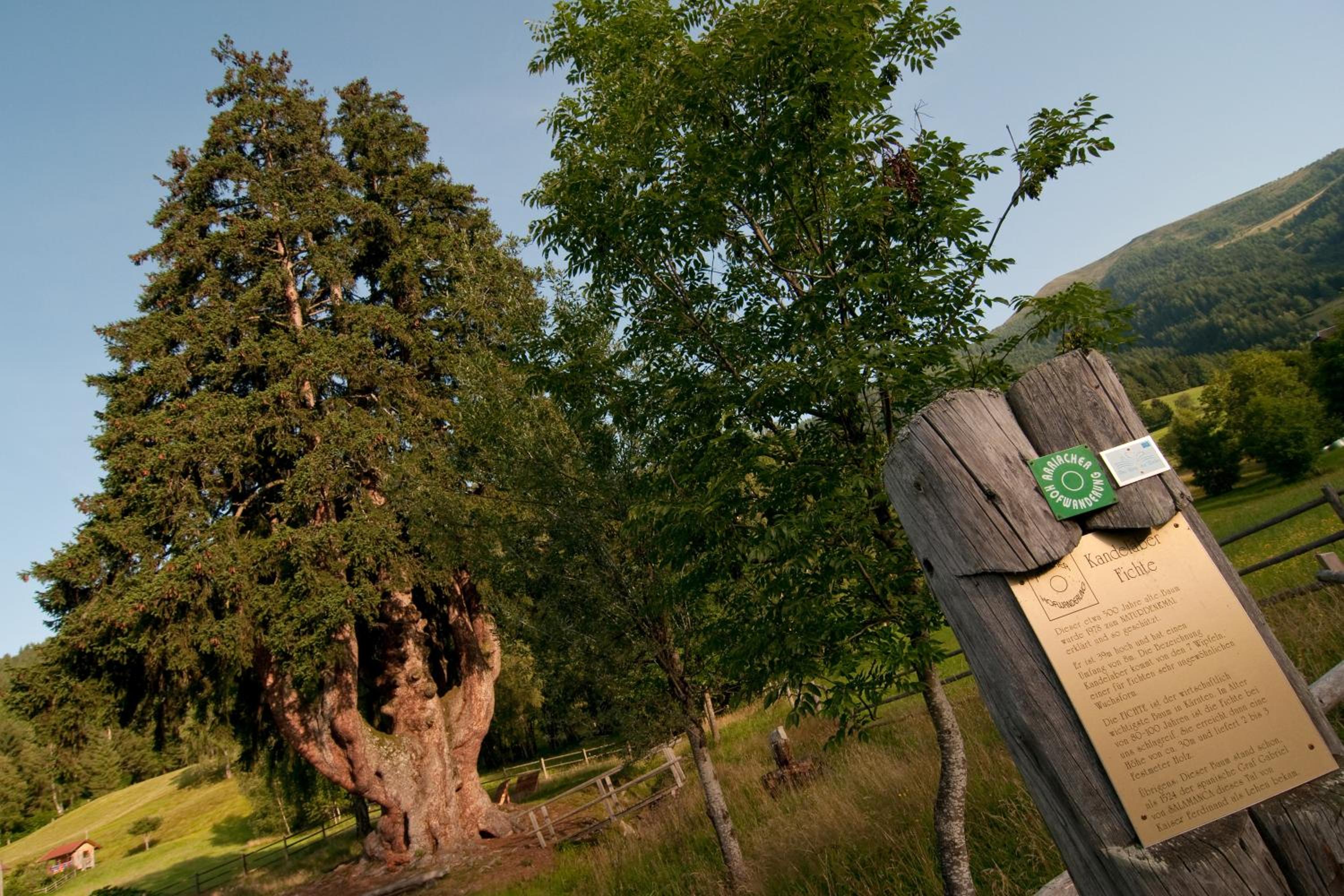 Grundnerhof