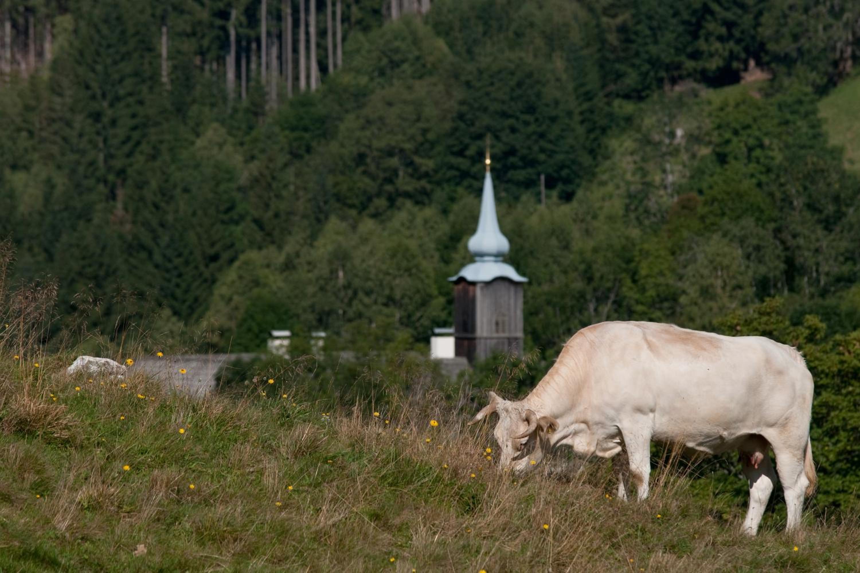 Grundnerhof