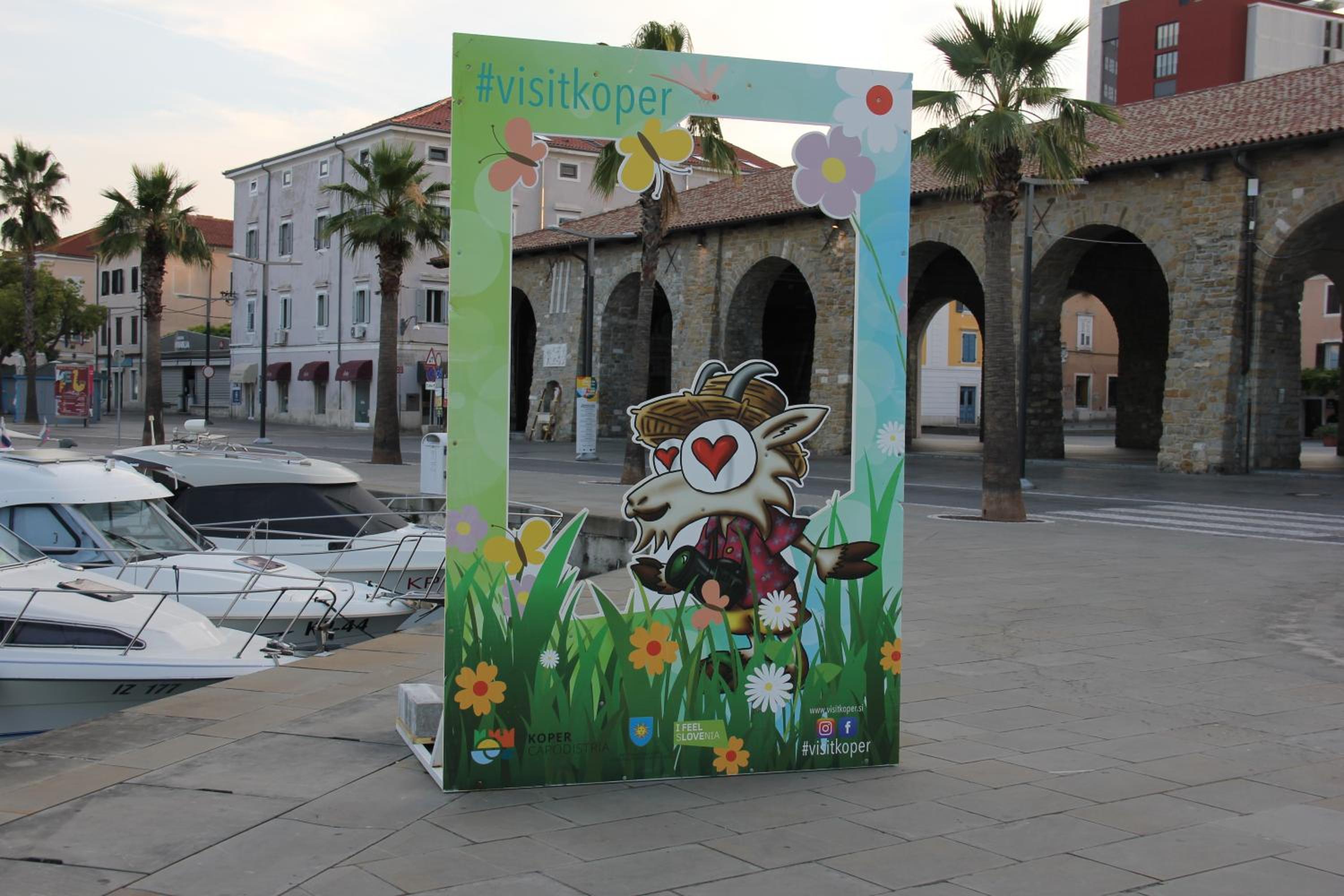 Photo 44