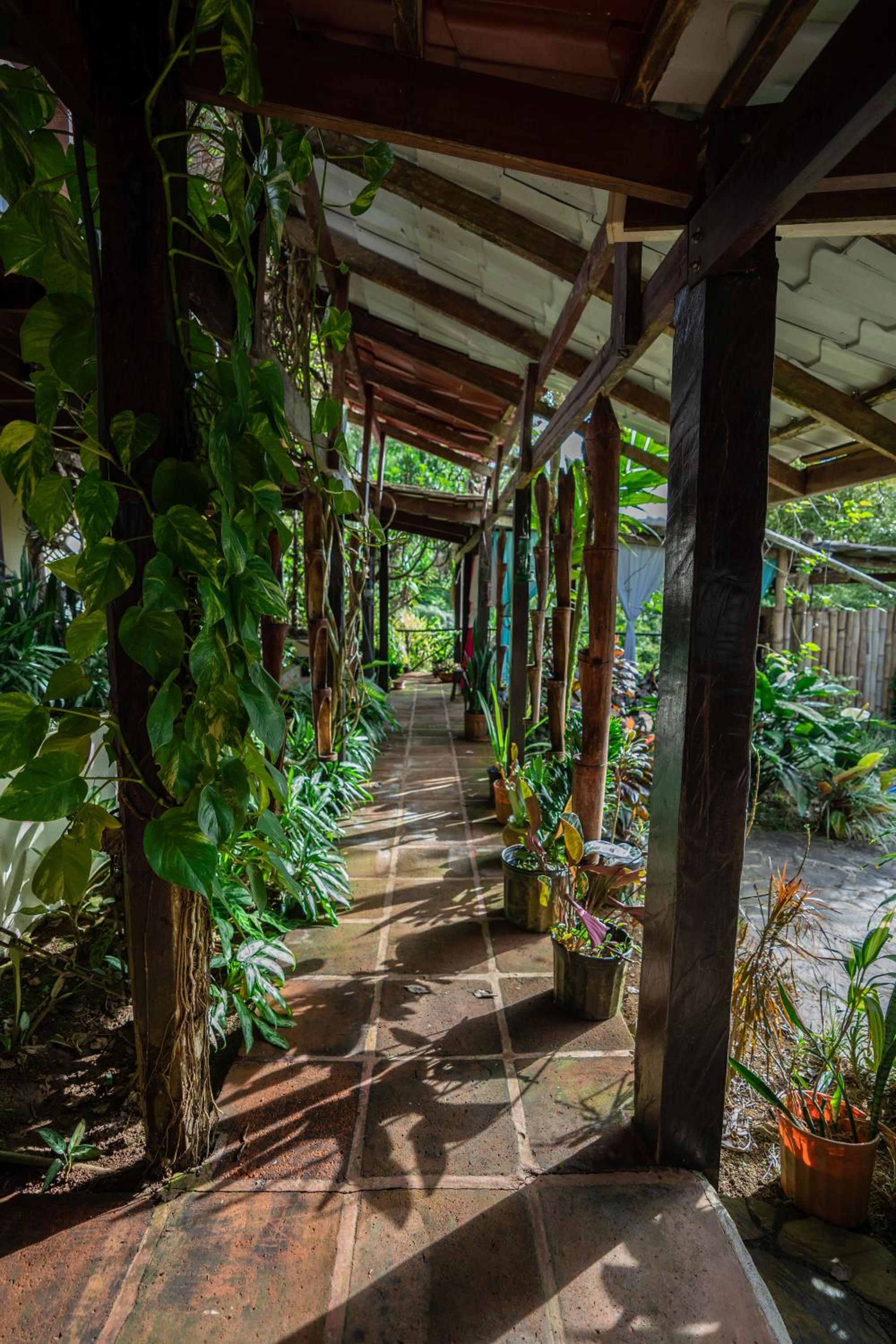 Princesa de la Luna EcoLodge 97