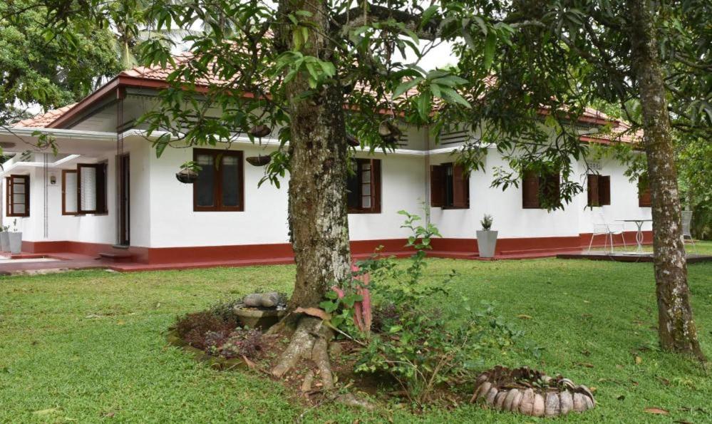 Villa Paregedara view 4