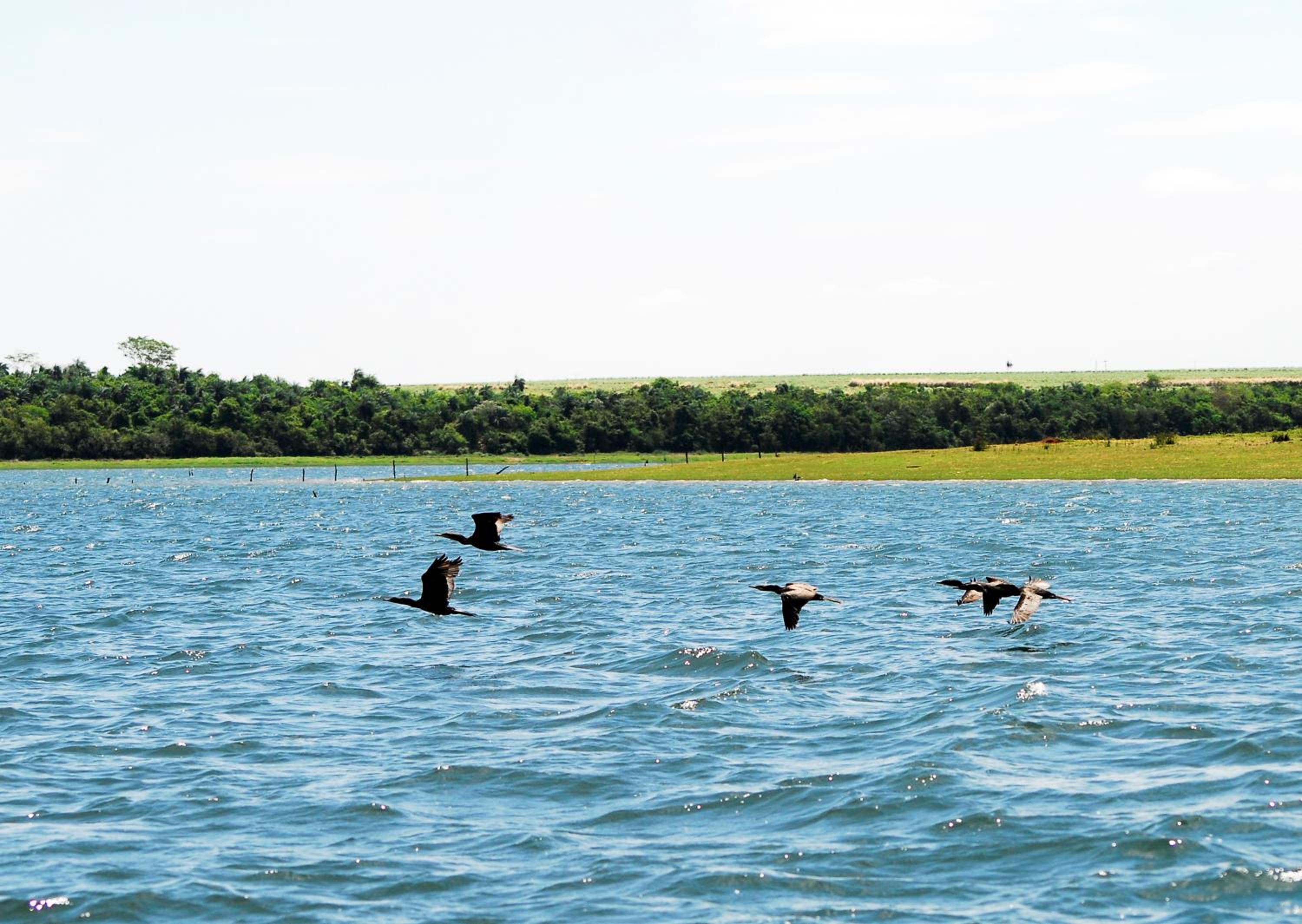 Resort da Ilha