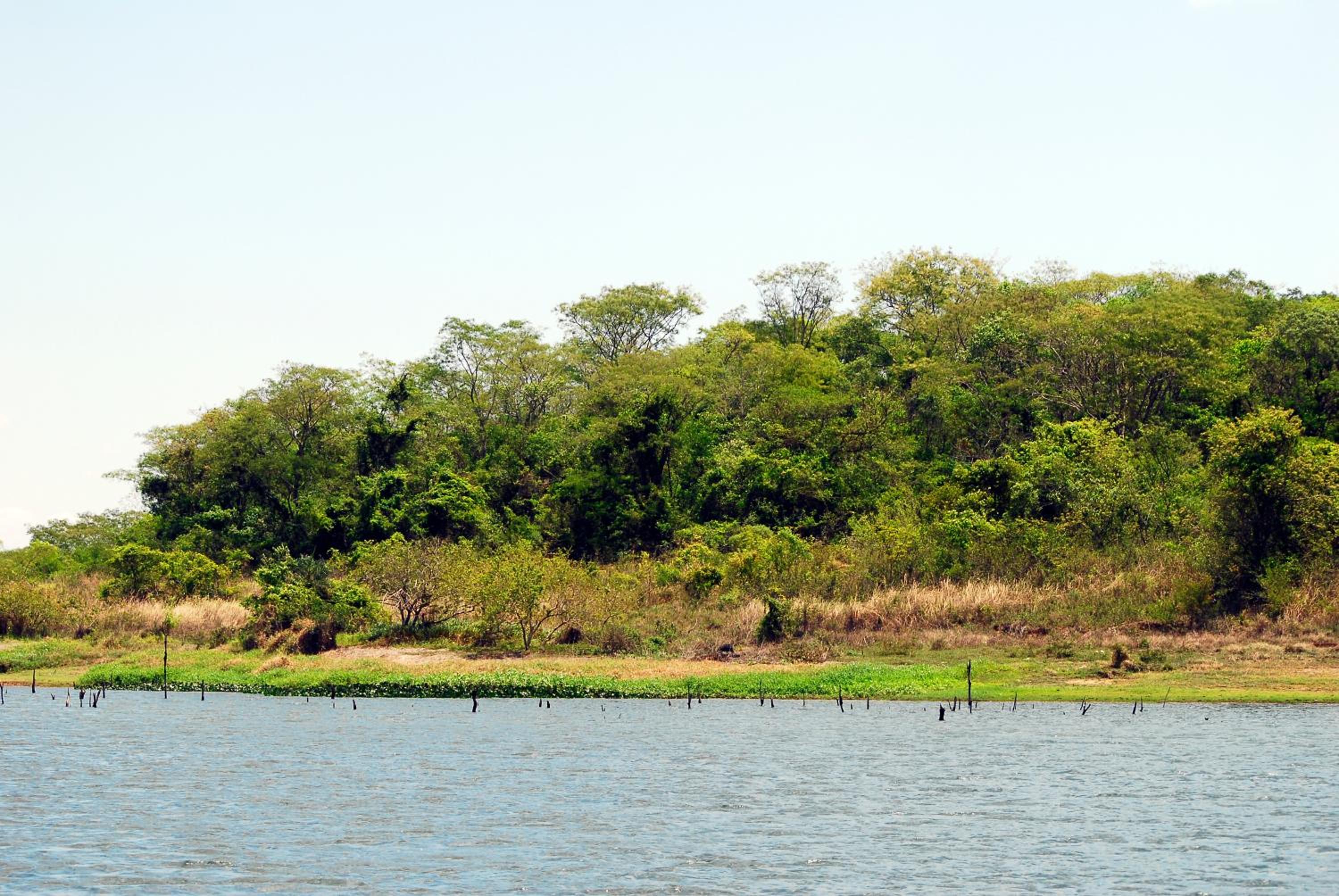 Resort da Ilha