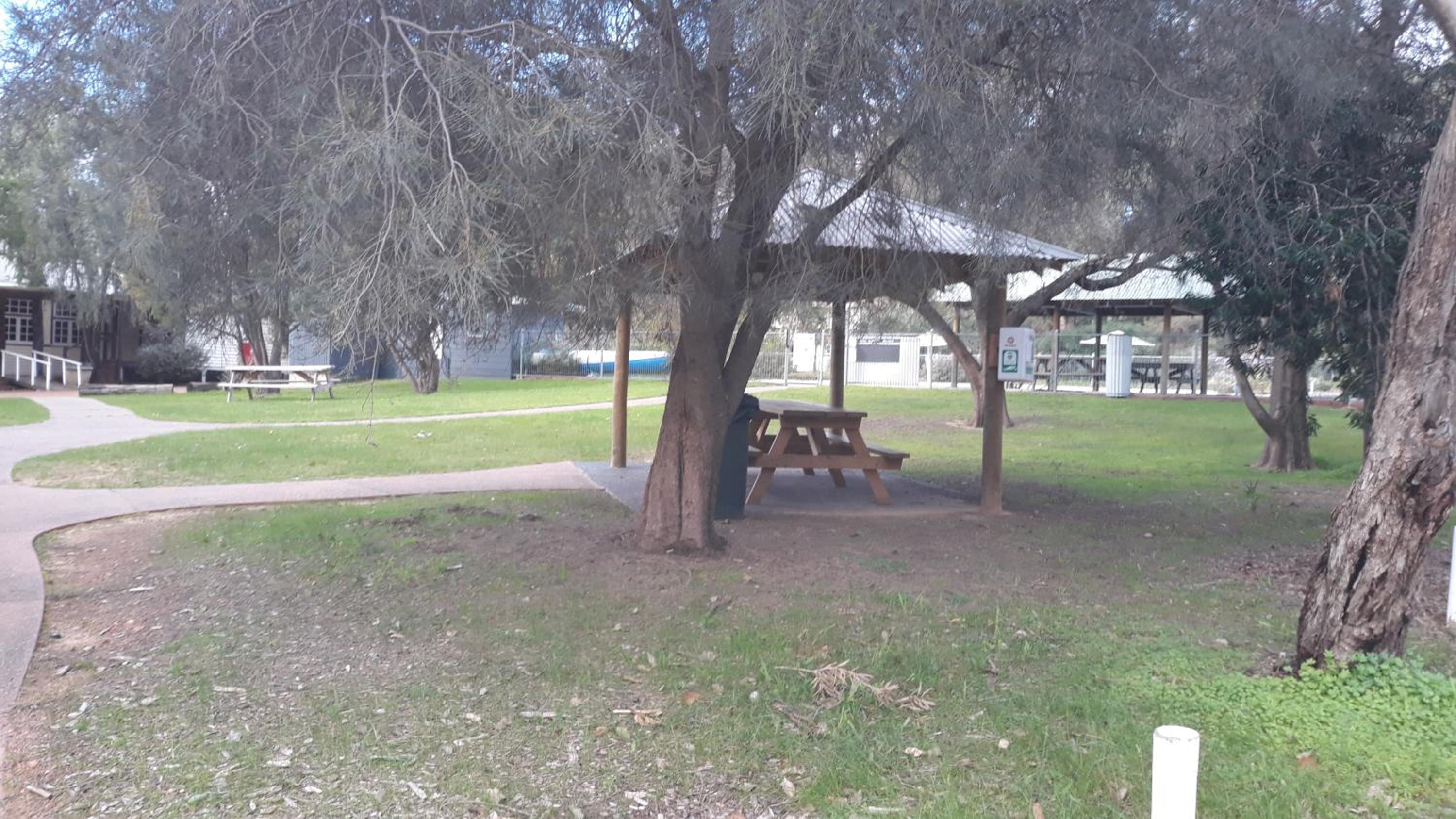 Photo 31