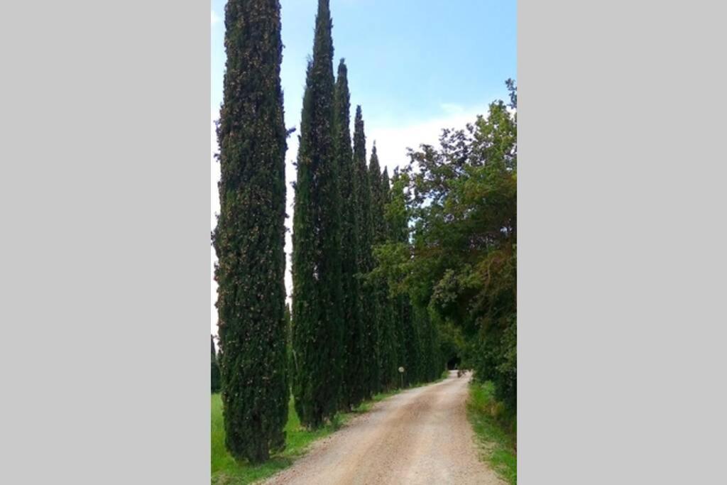 Premiere Apartments - Residenza Le Rose nel Chianti view 4