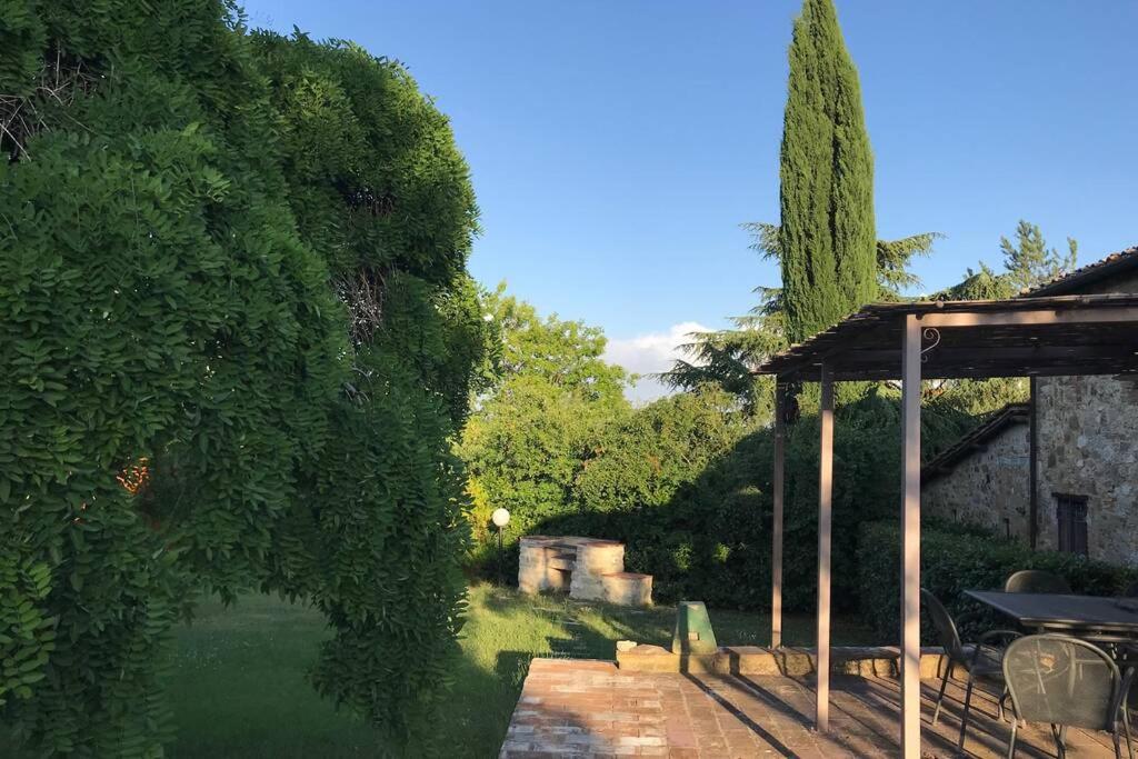 Photo 21
