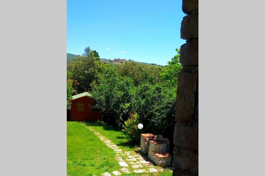 Photo 44
