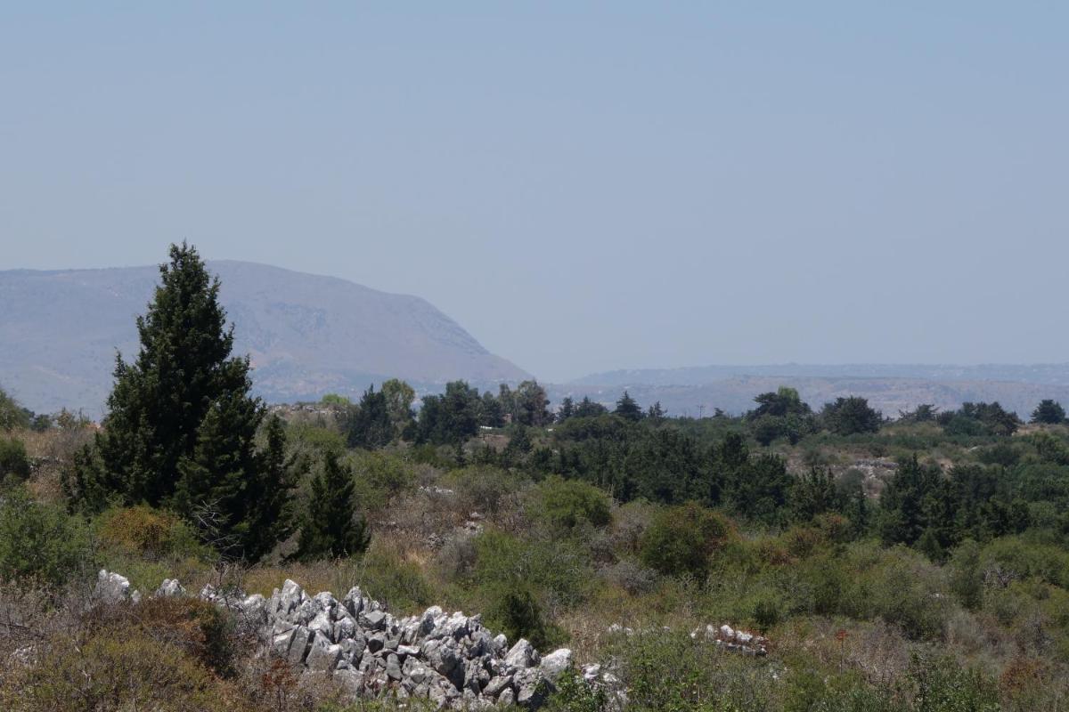 Villa Gata photo 3