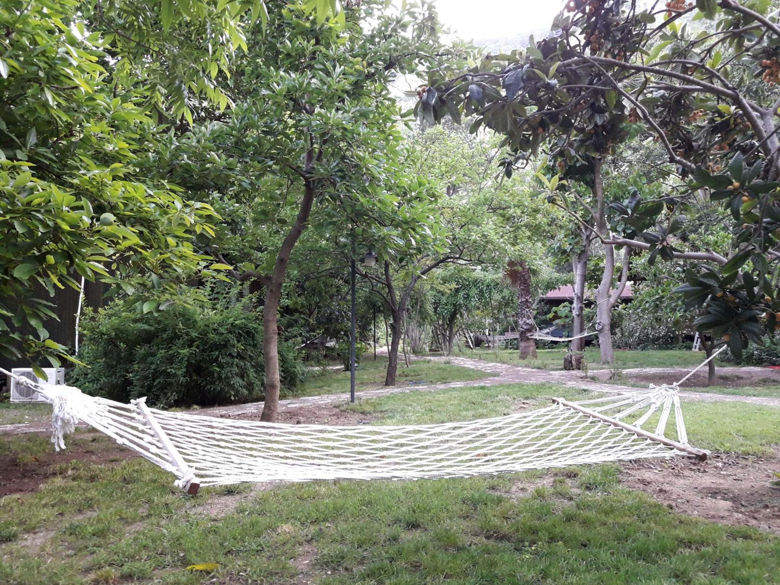 Photo 27