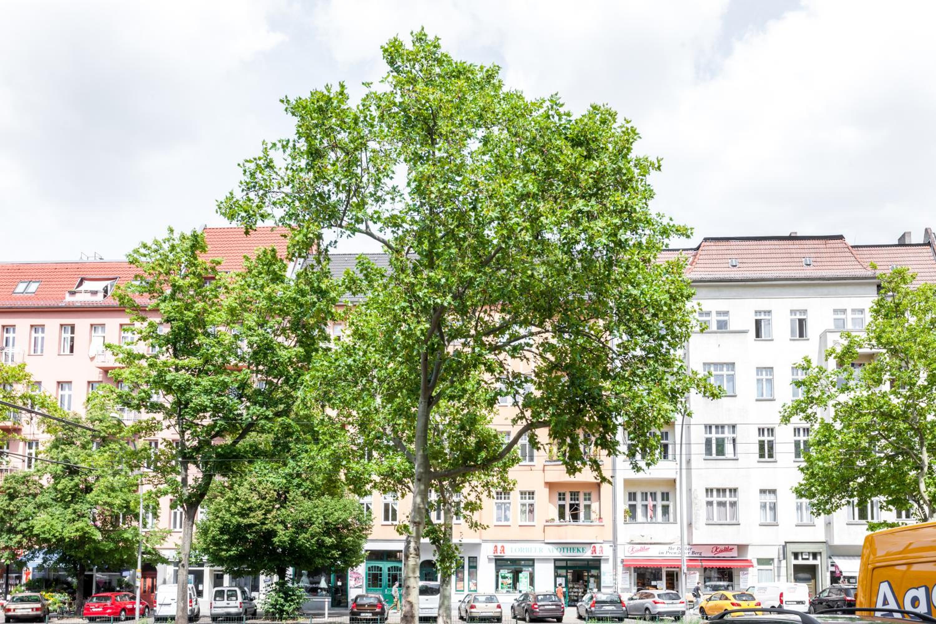 DR Apartments Prenzlauer Berg