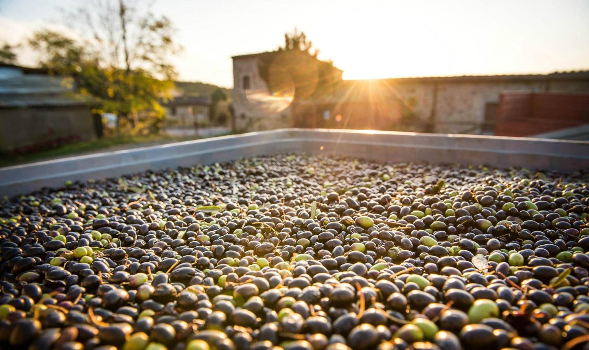 Agriturismo Grossola