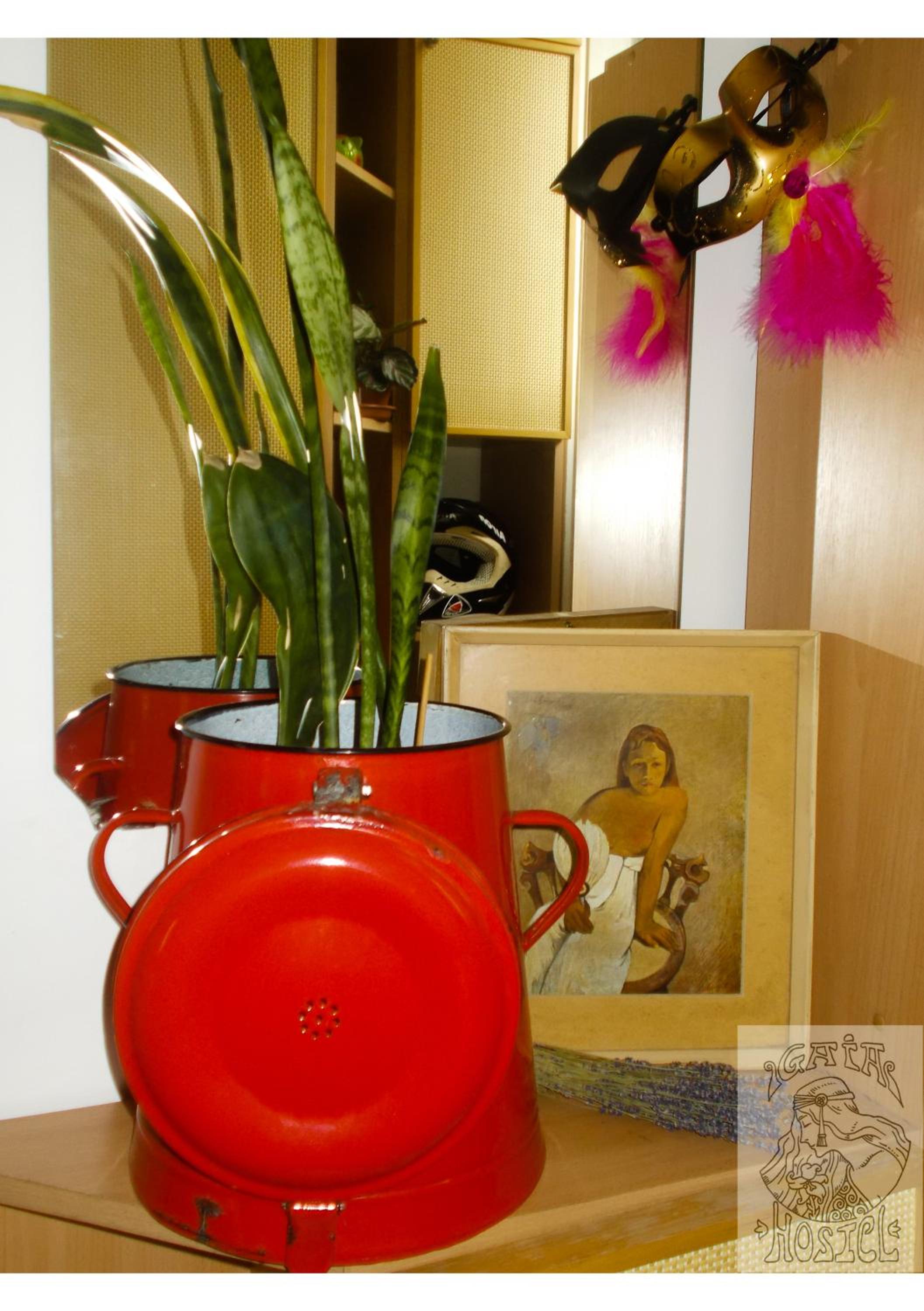 Photo 48