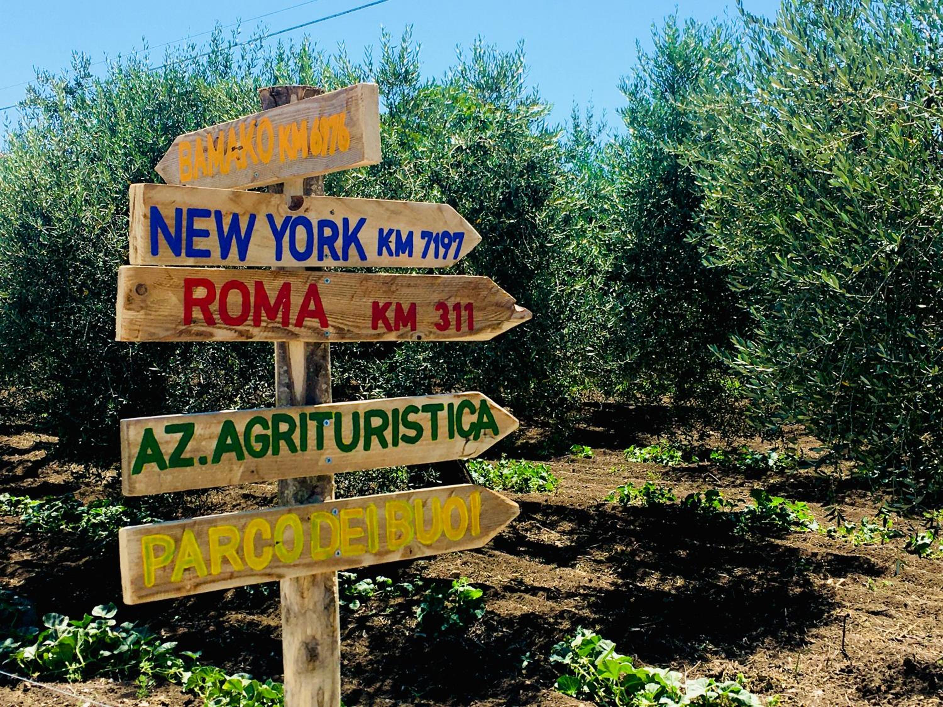 Az. Agr. Parco dei Buoi view 2