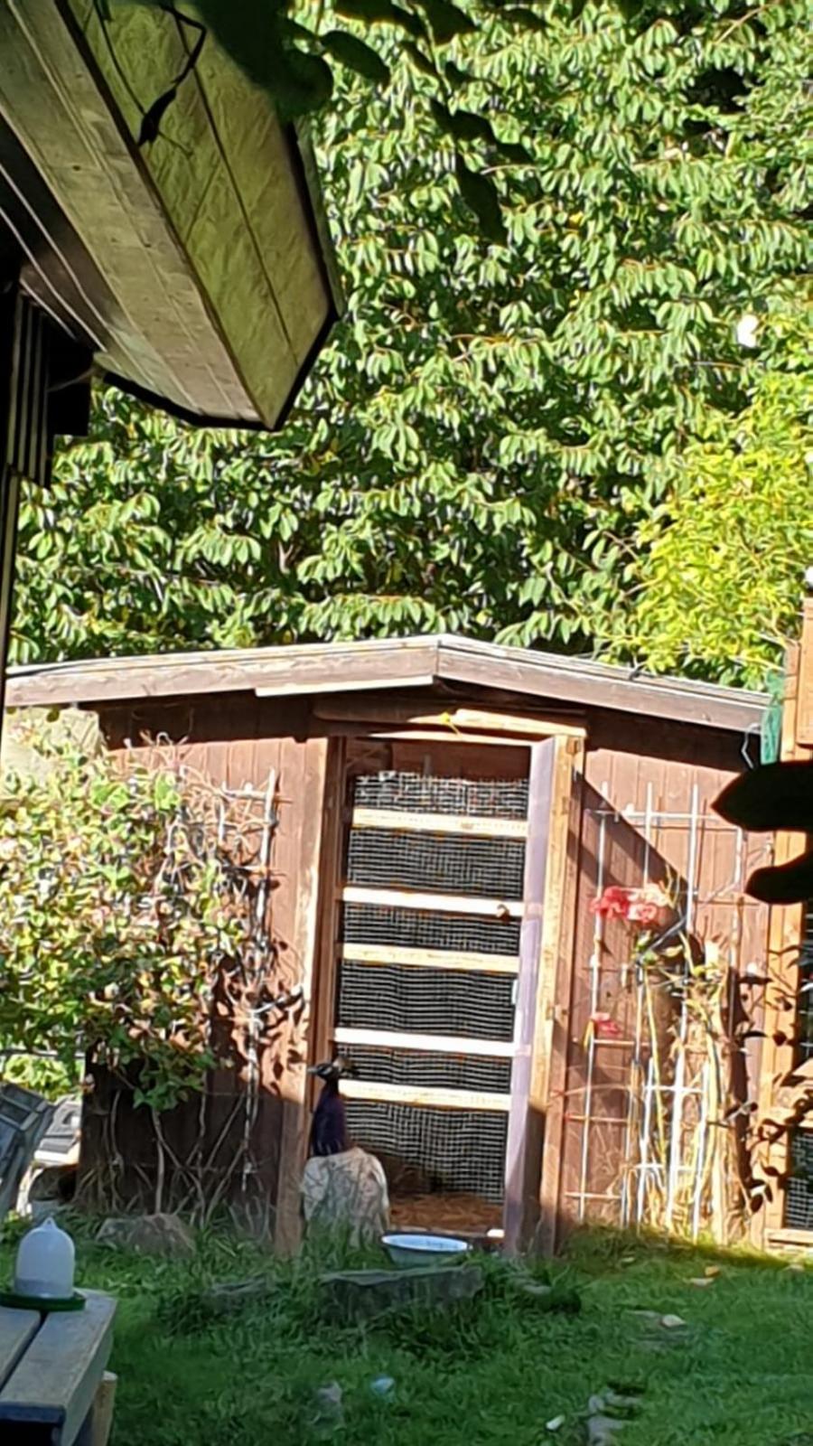 Photo 21