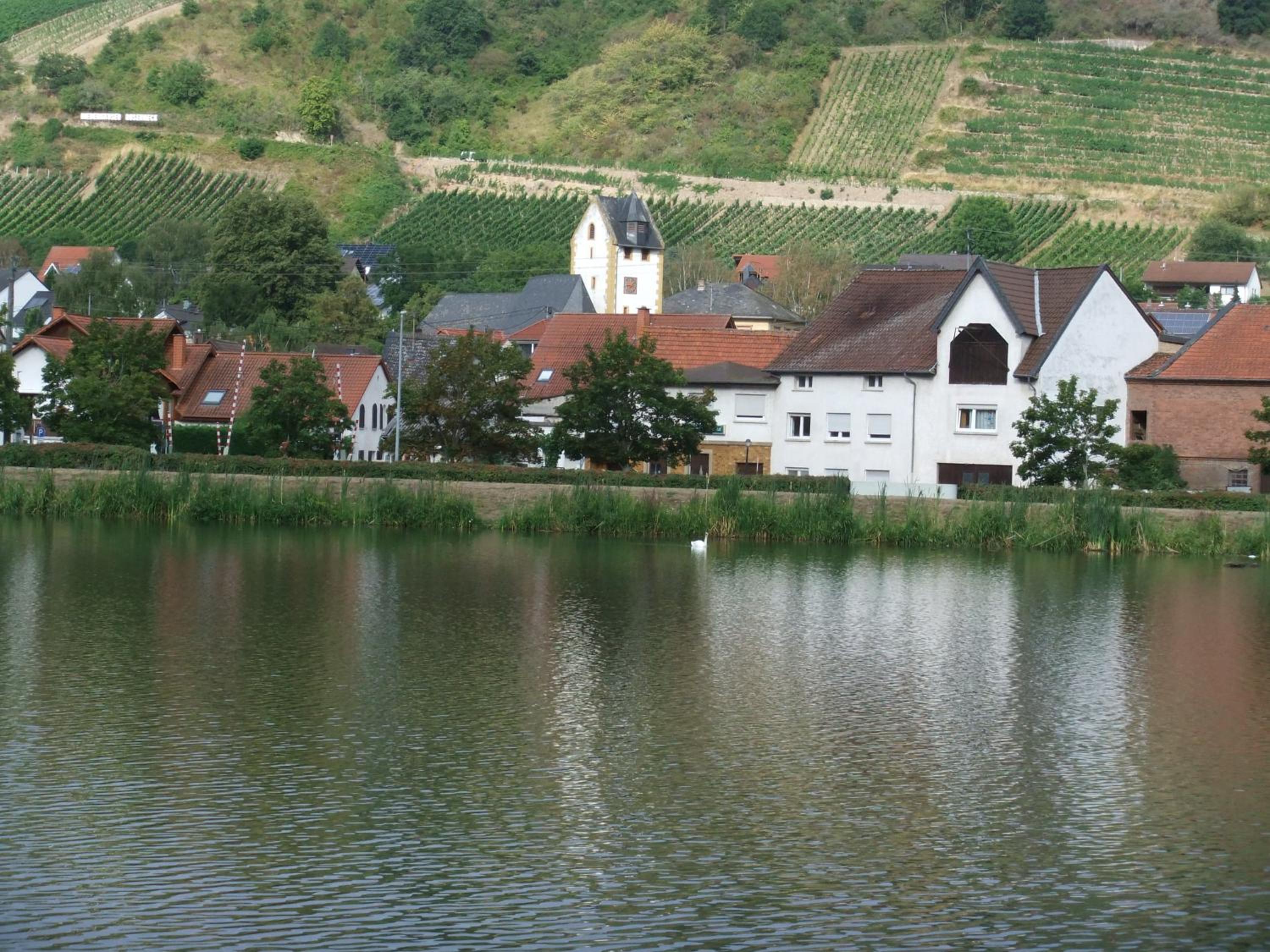 Ferienhaus Frieda